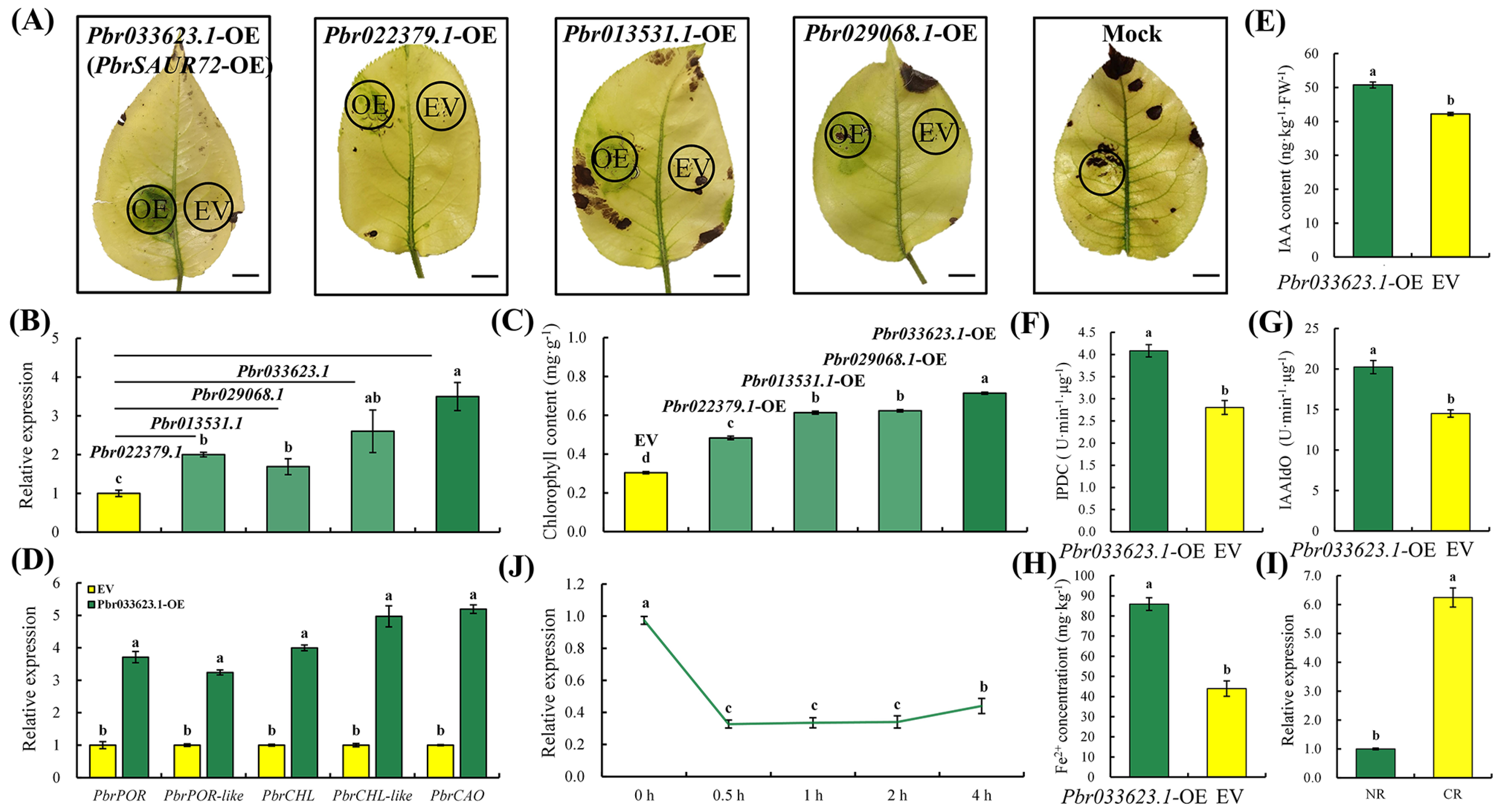 Plants 12 02173 g002