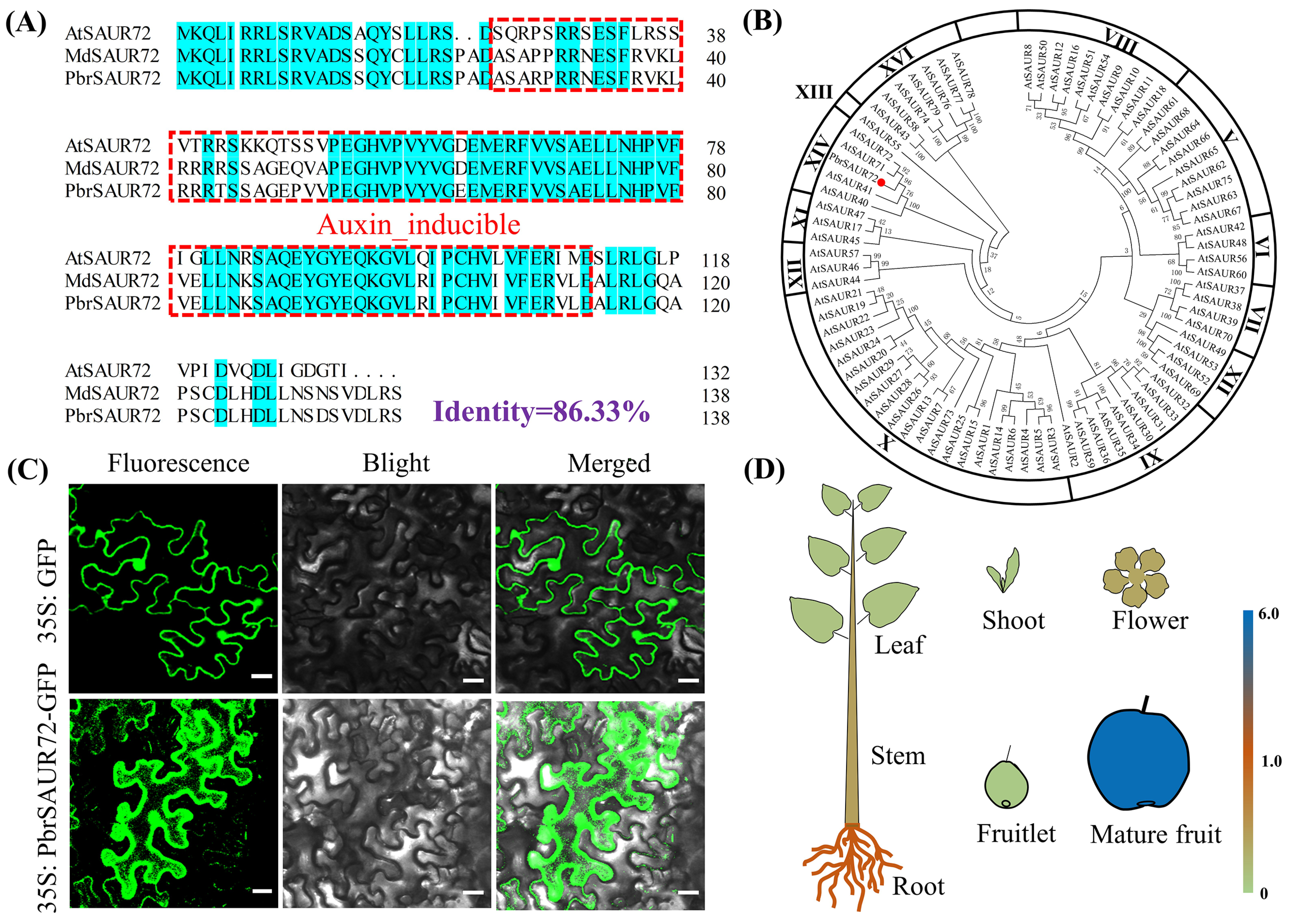 Plants 12 02173 g003