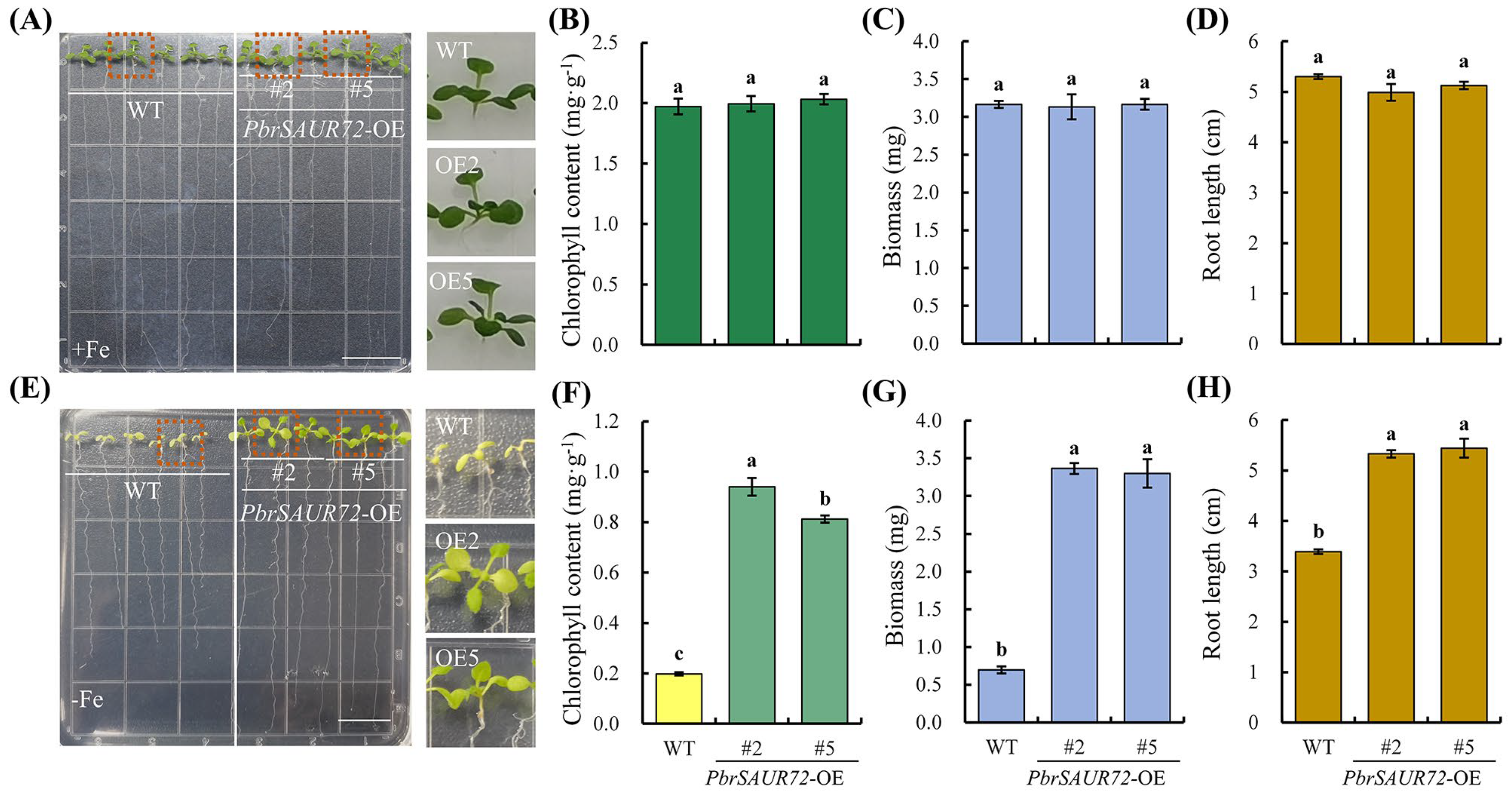 Plants 12 02173 g005