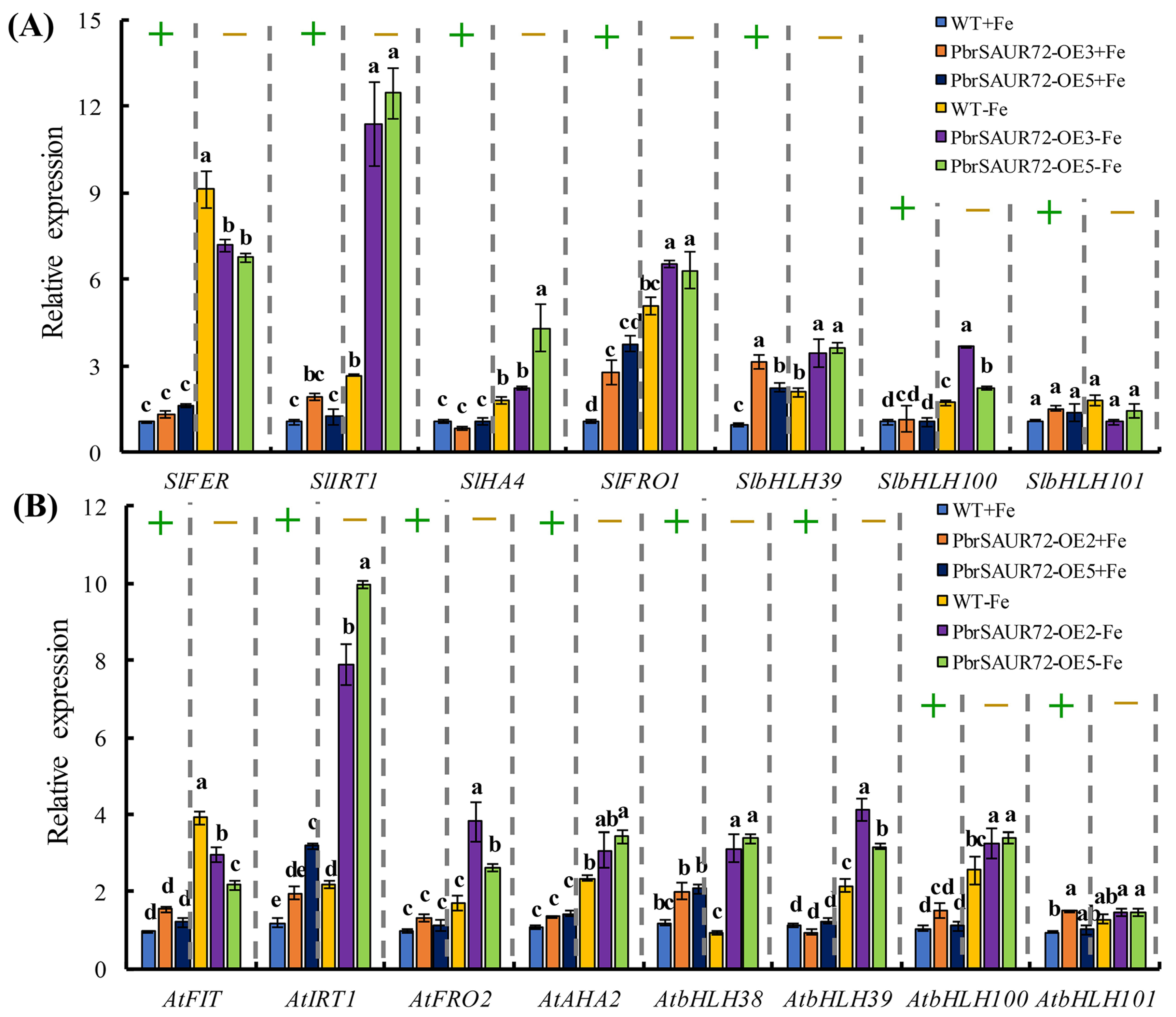 Plants 12 02173 g006