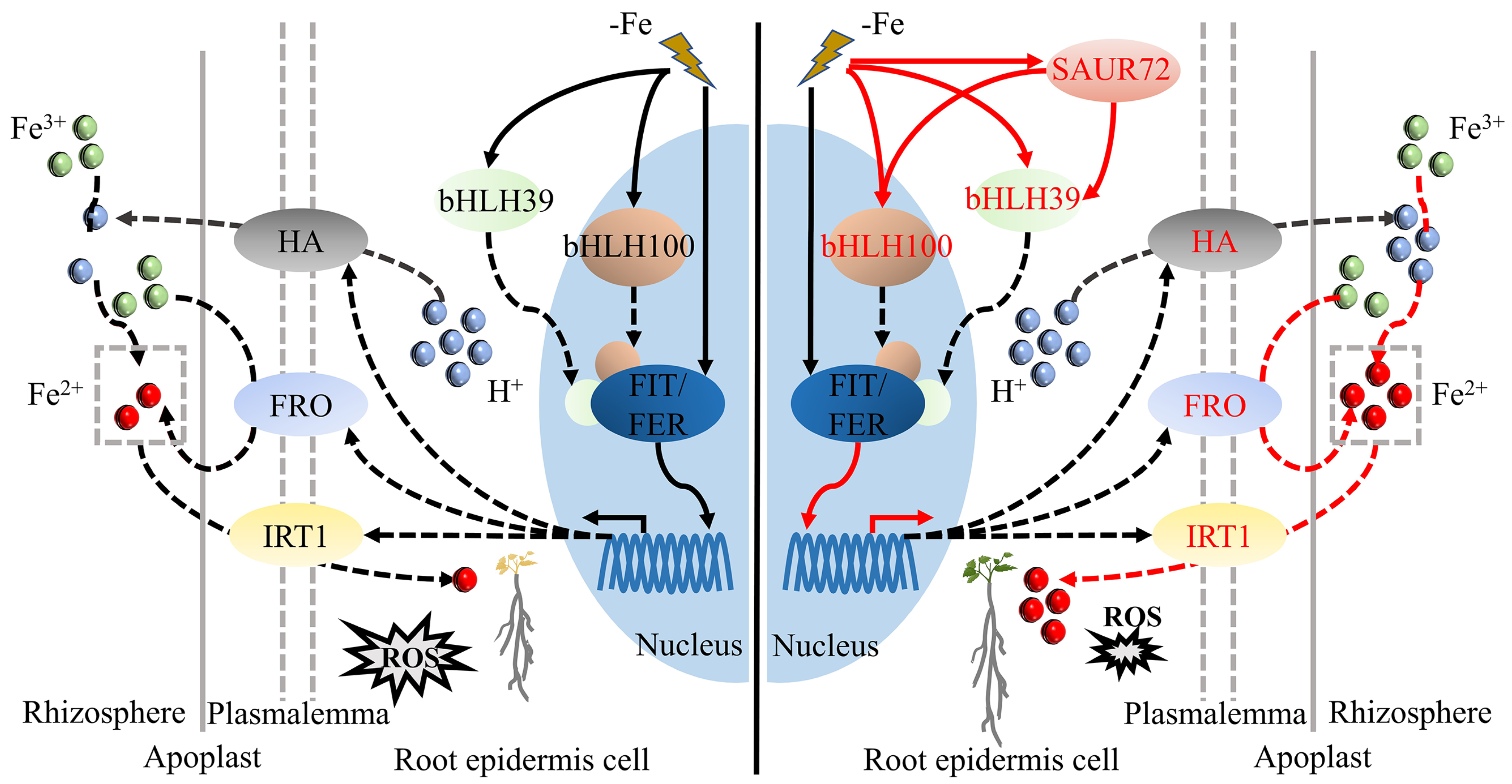 Plants 12 02173 g009