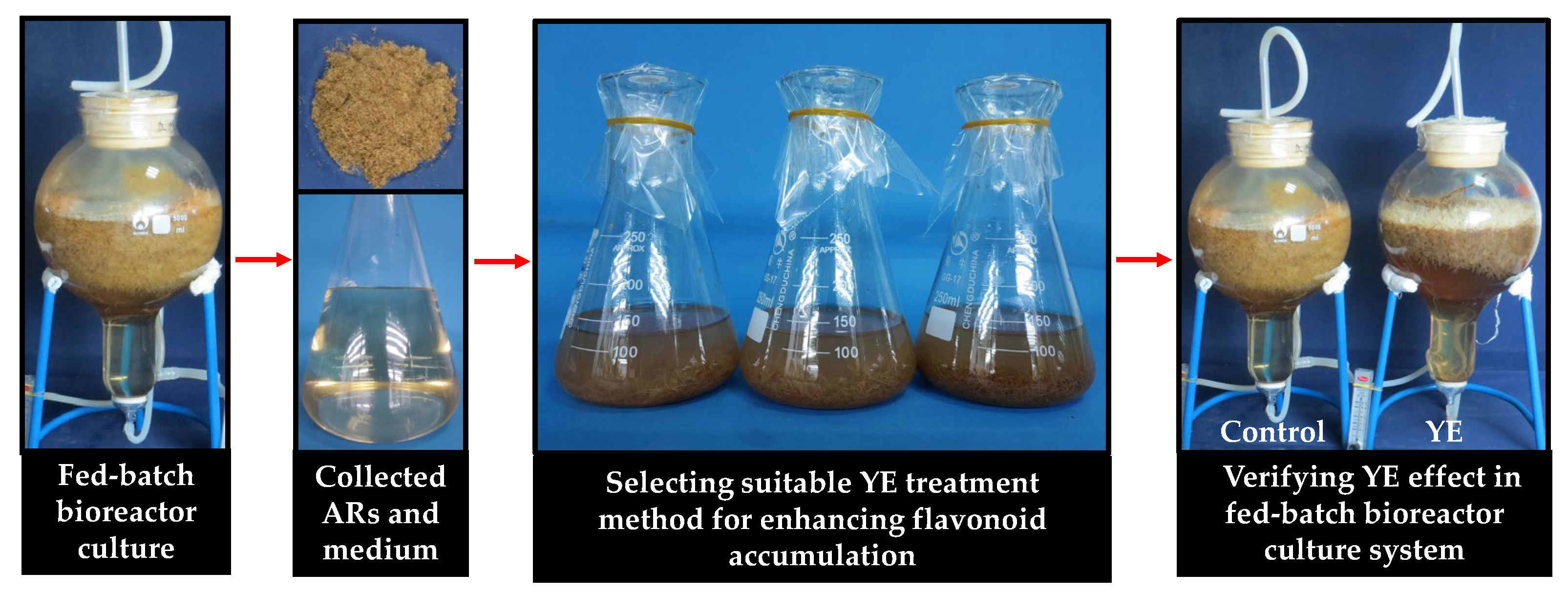 Plants 12 02174 g007