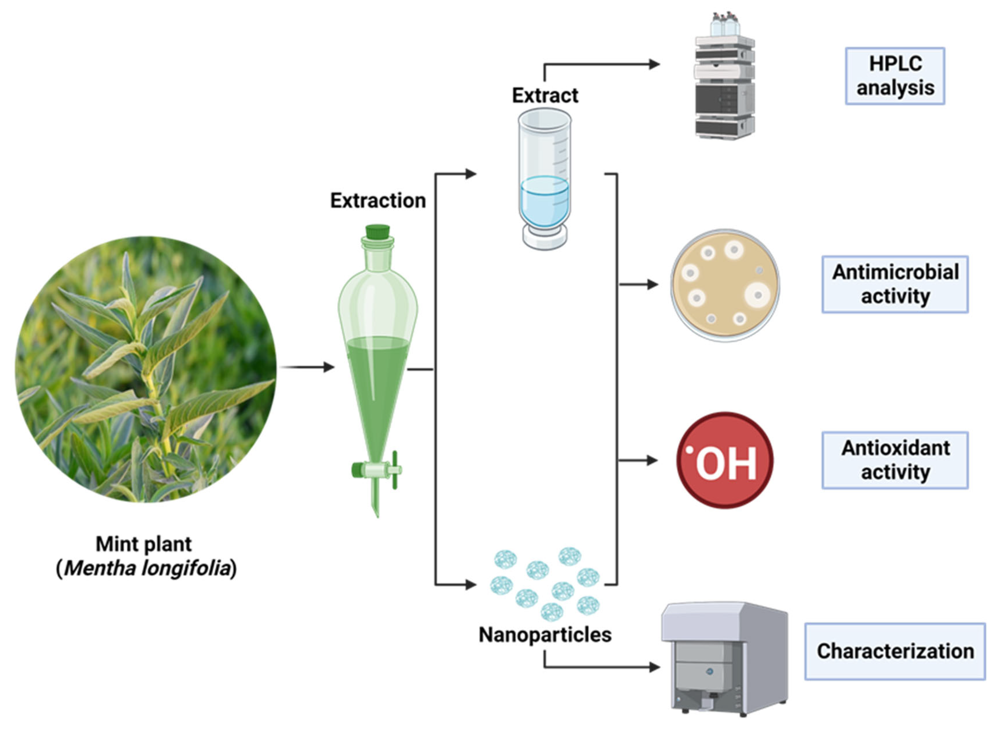 Plants 12 02177 g001