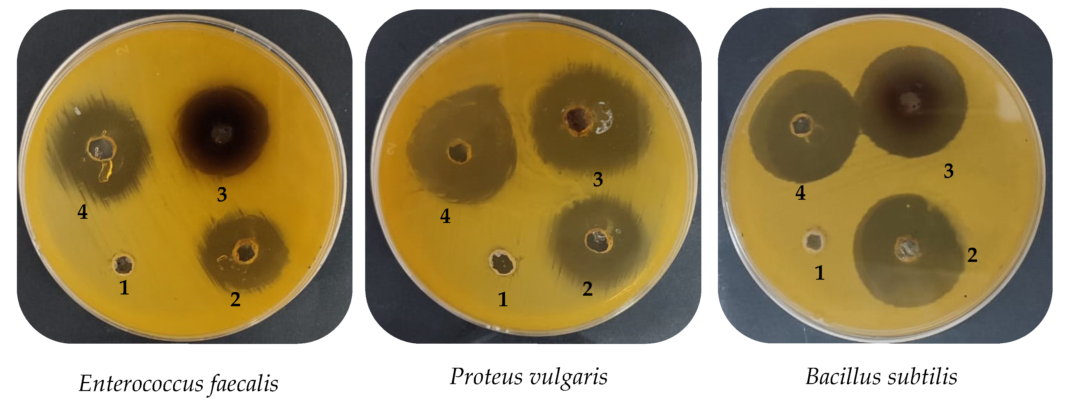 Plants 12 02177 g009a