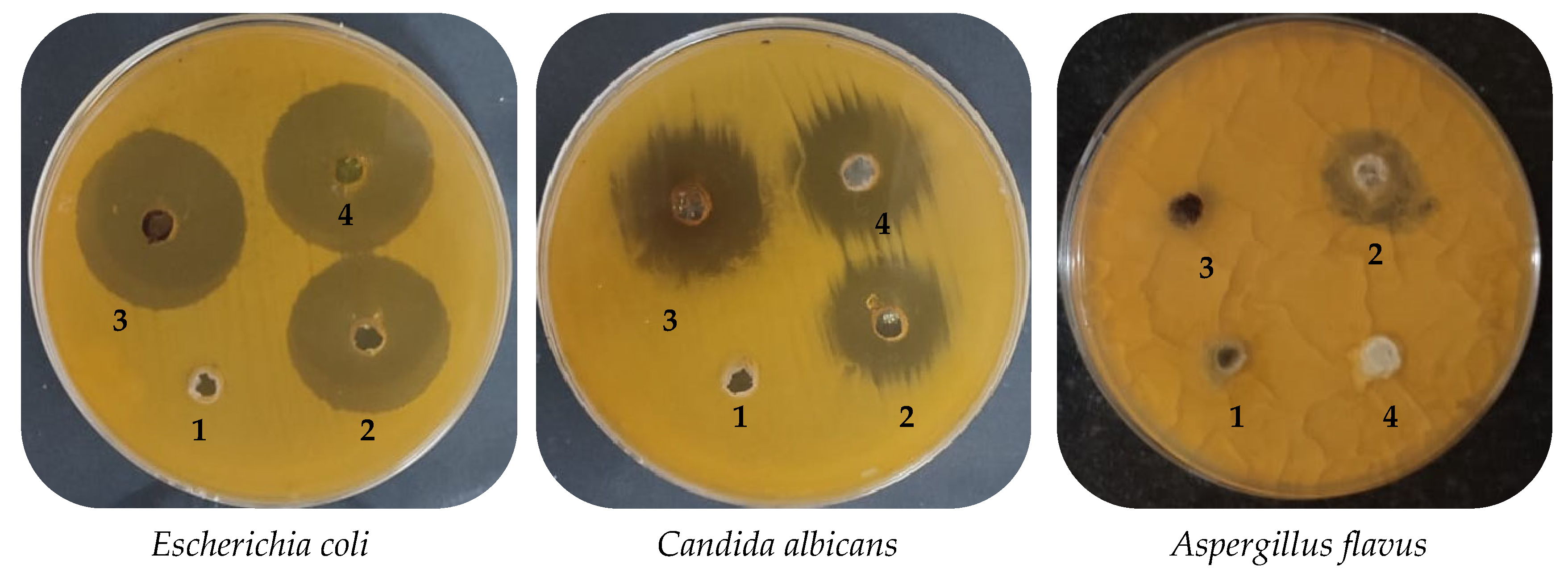 Plants 12 02177 g009b