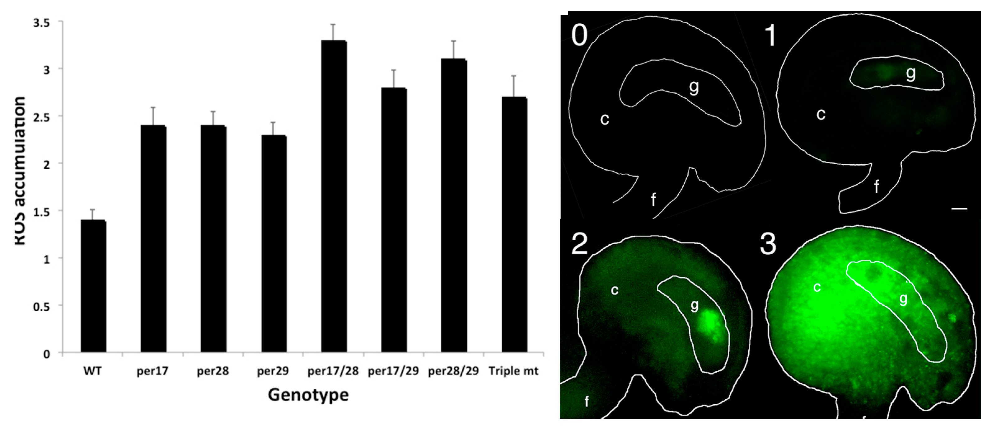 Plants 12 02182 g004