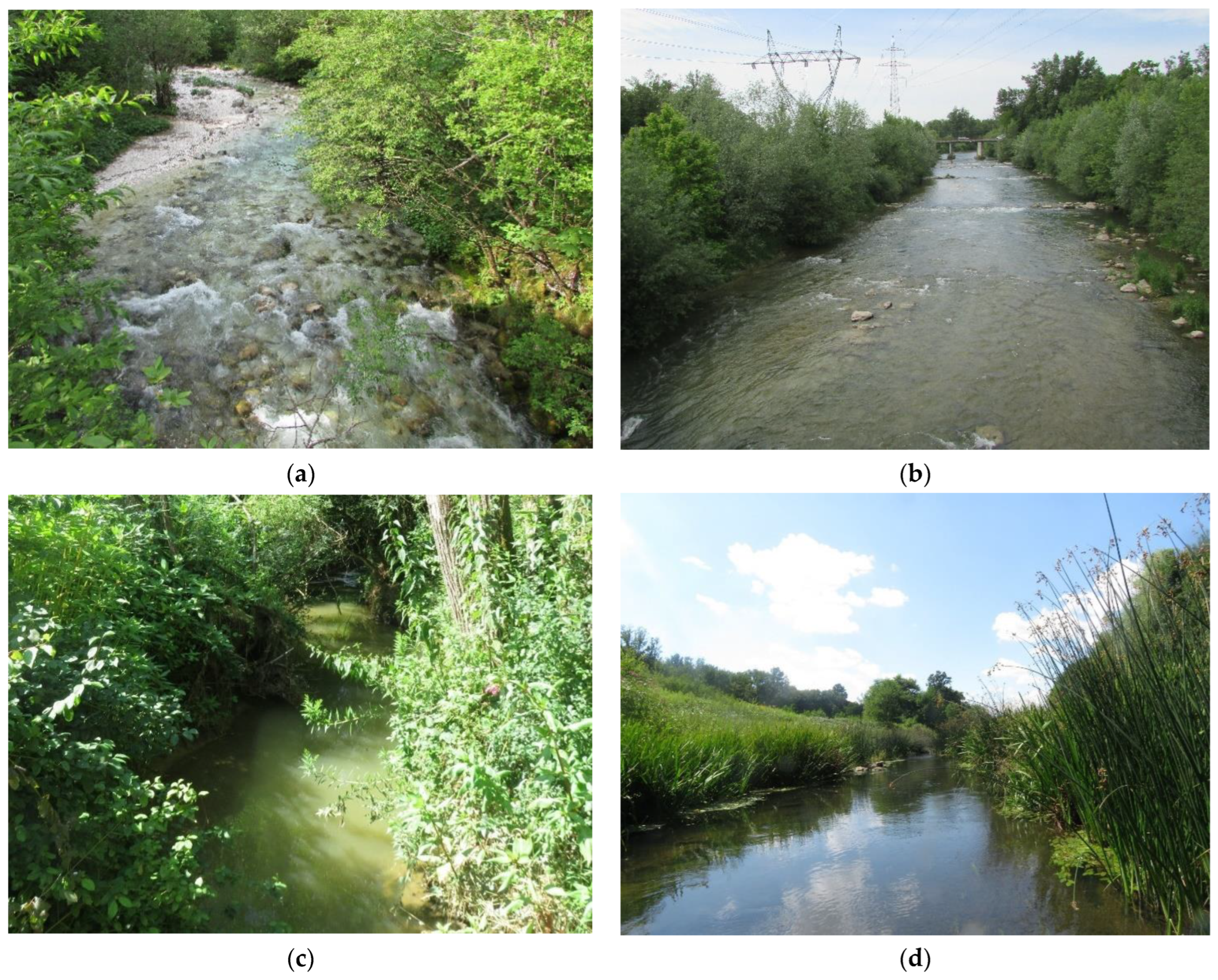 Plants 12 02191 g001