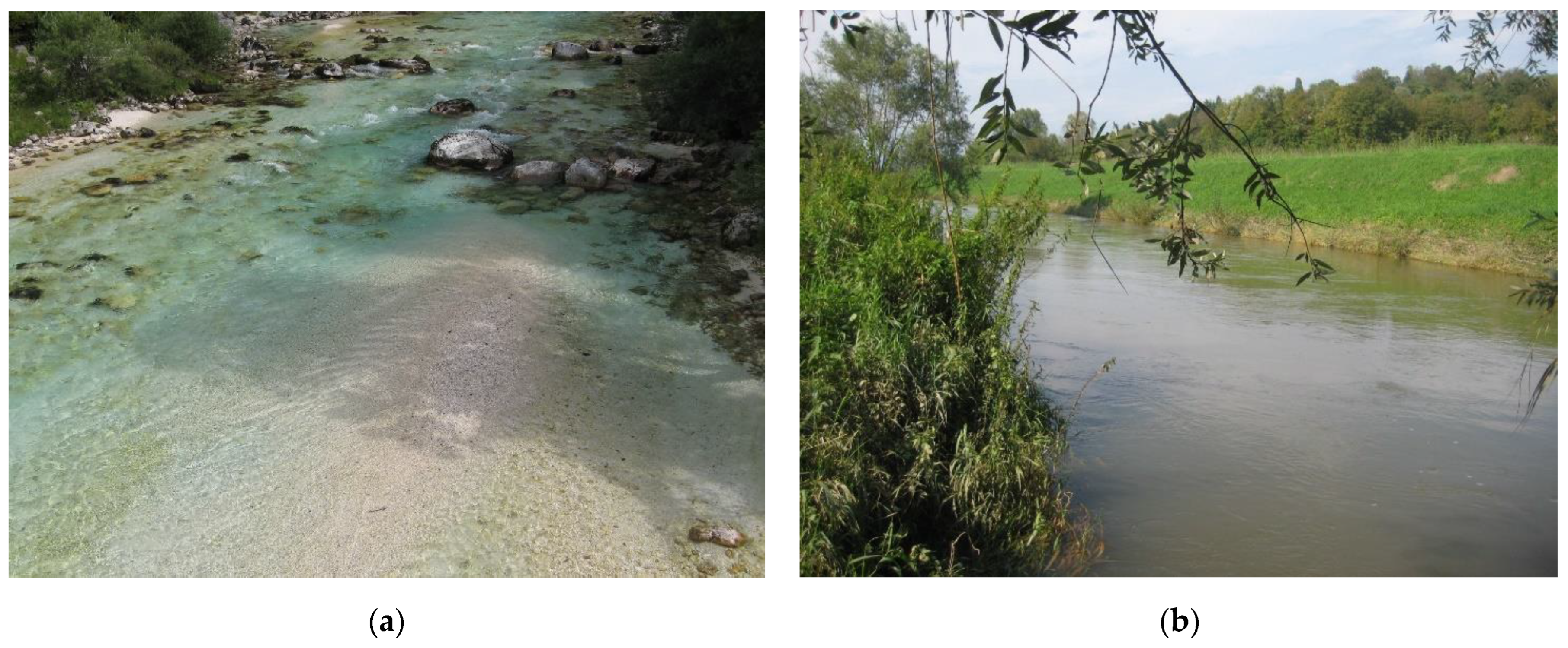 Plants 12 02191 g002