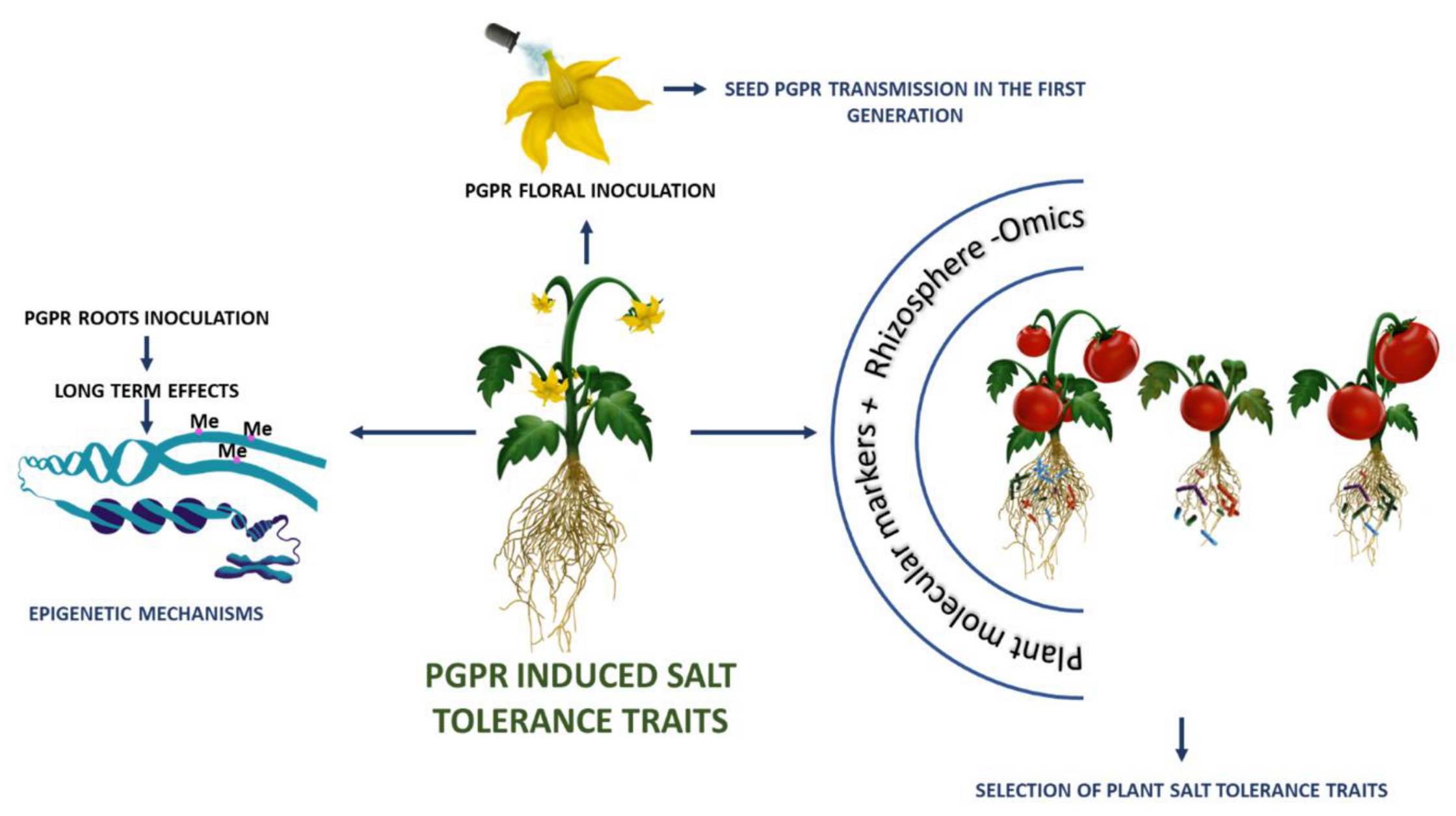 Plants 12 02197 g002 Plants 12 02197 g002