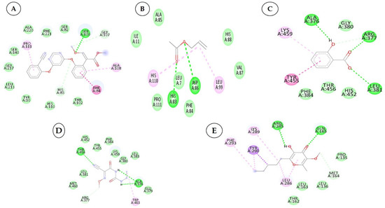 Plants 12 02202 g006