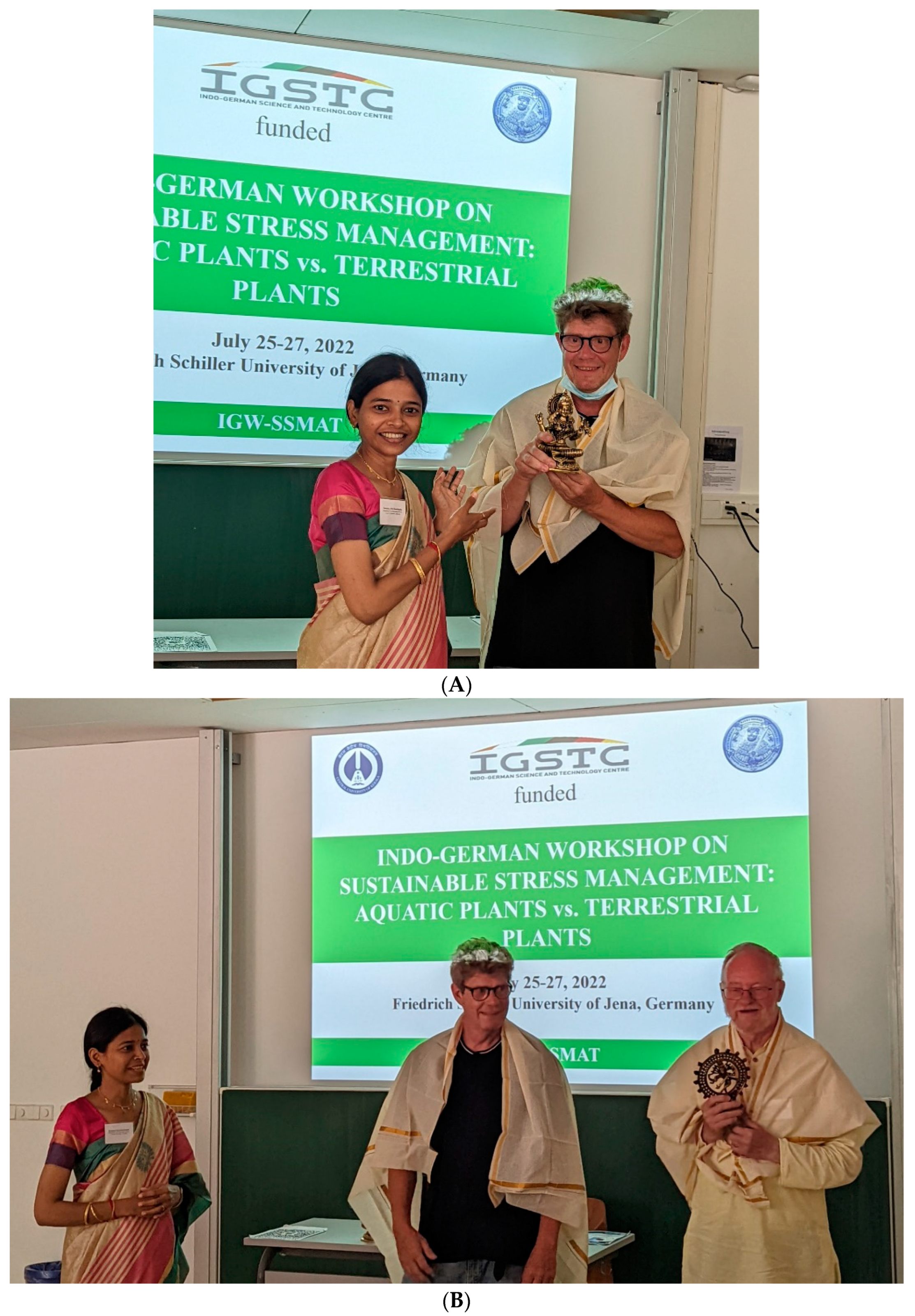 Plants 12 02208 g001