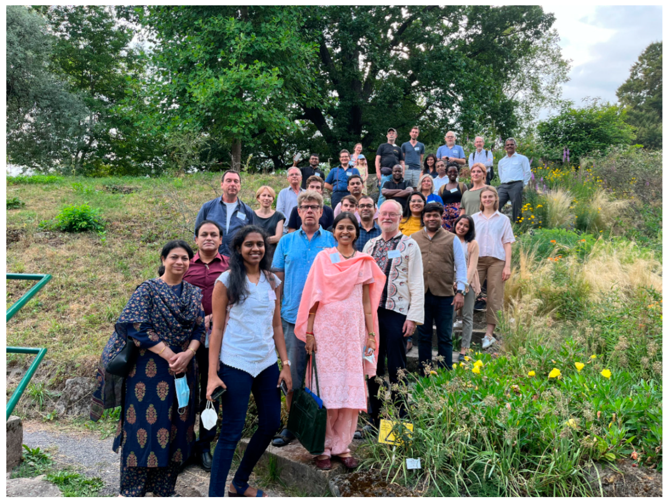 Plants 12 02208 g002