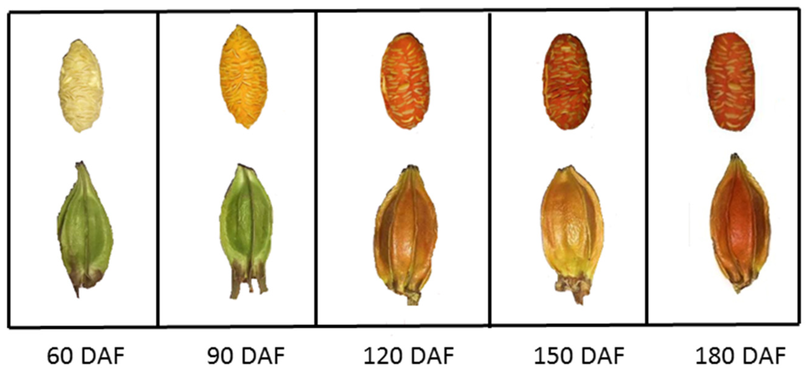 Plants 12 02209 g002