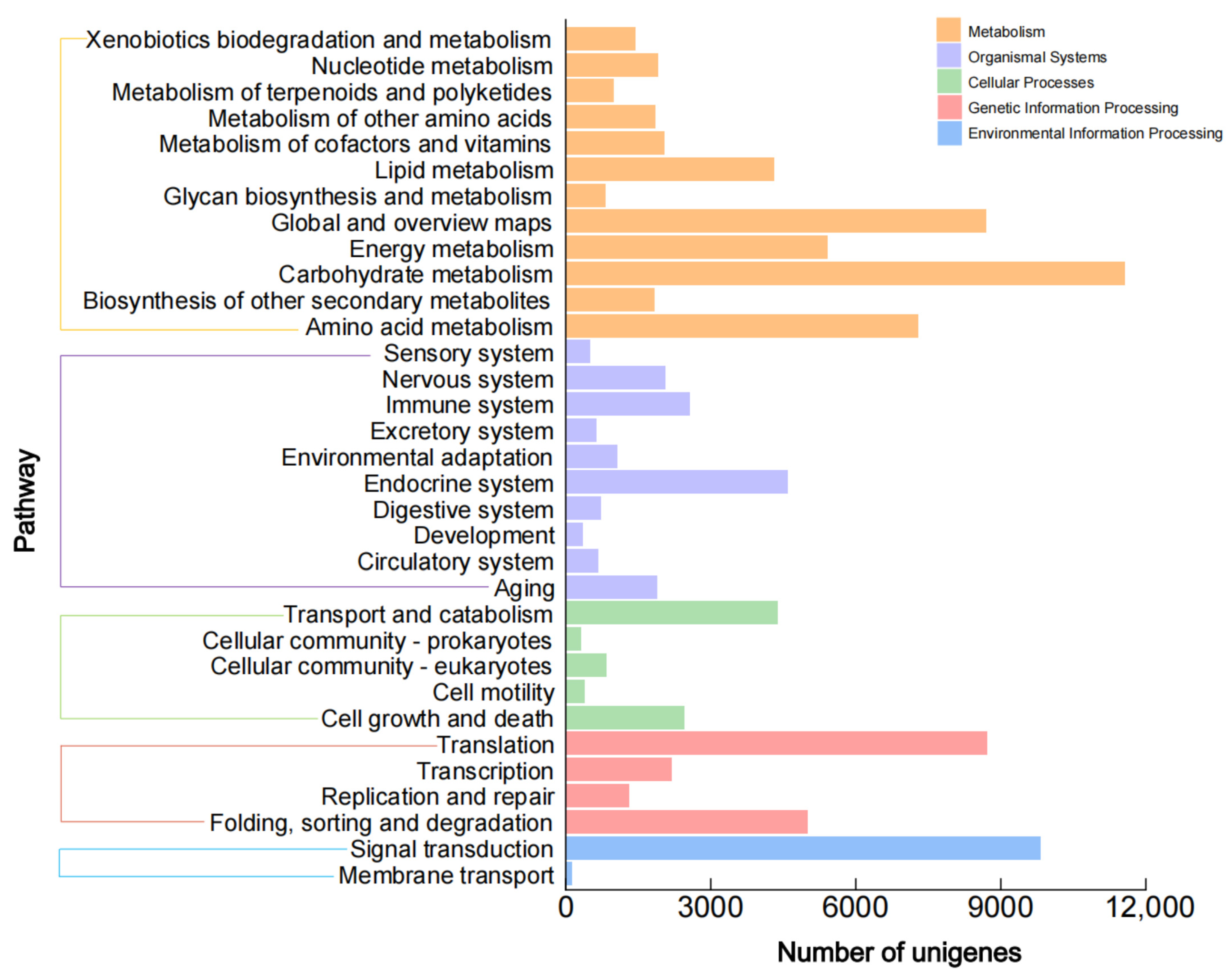 Plants 12 02209 g005
