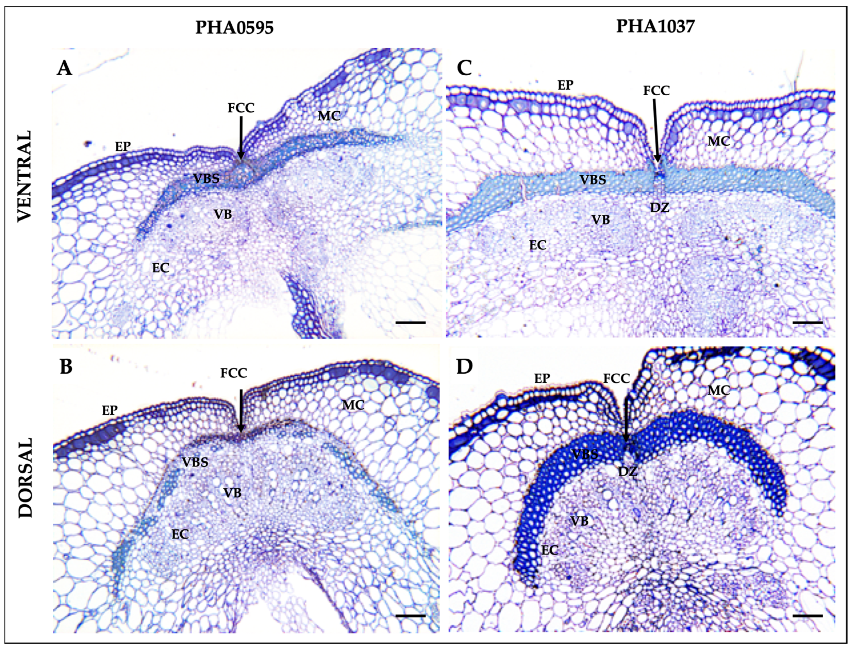 Plants 12 02212 g002
