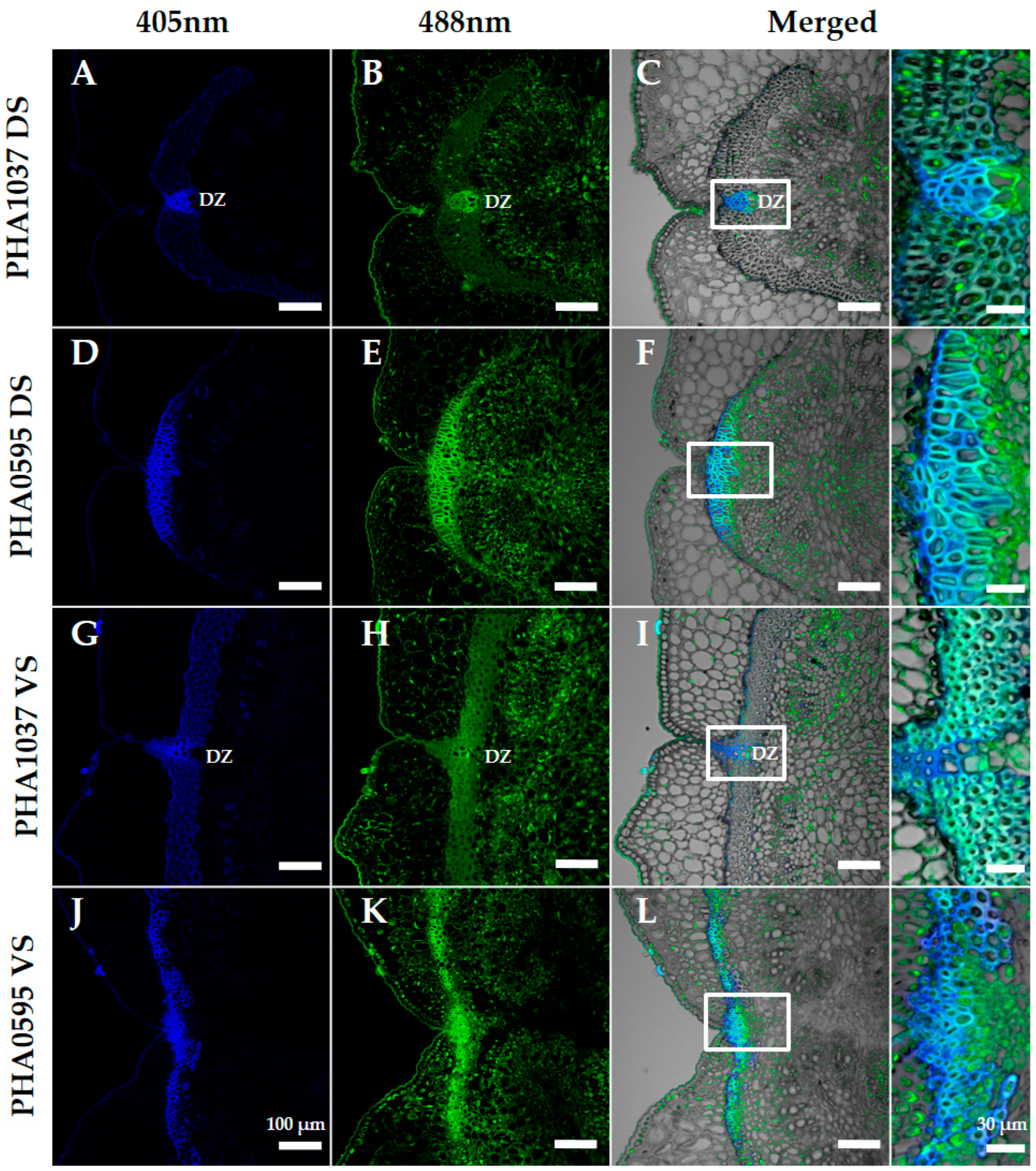 Plants 12 02212 g005
