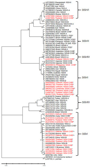 Plants 12 02217 g004