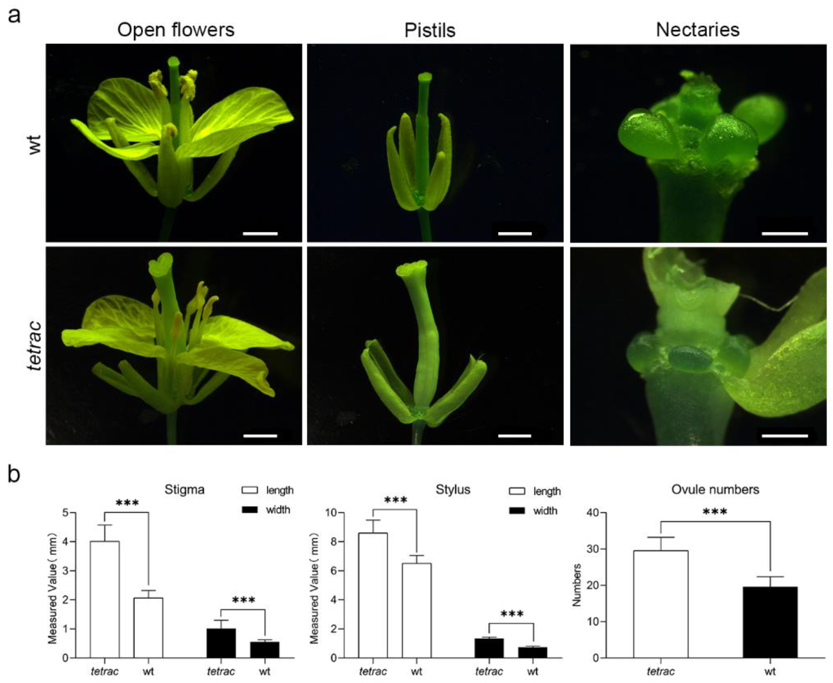 Plants 12 02218 g001
