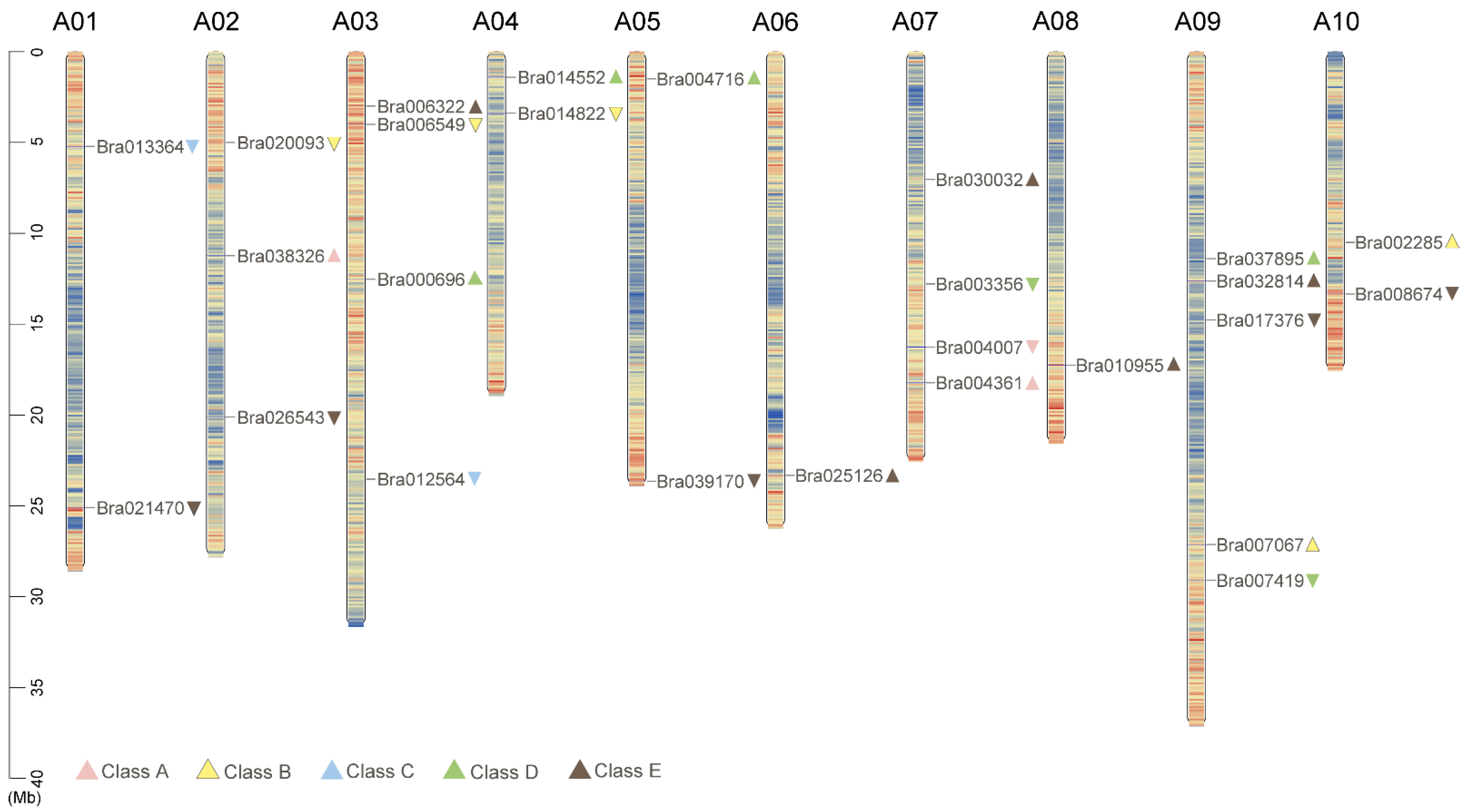 Plants 12 02218 g002