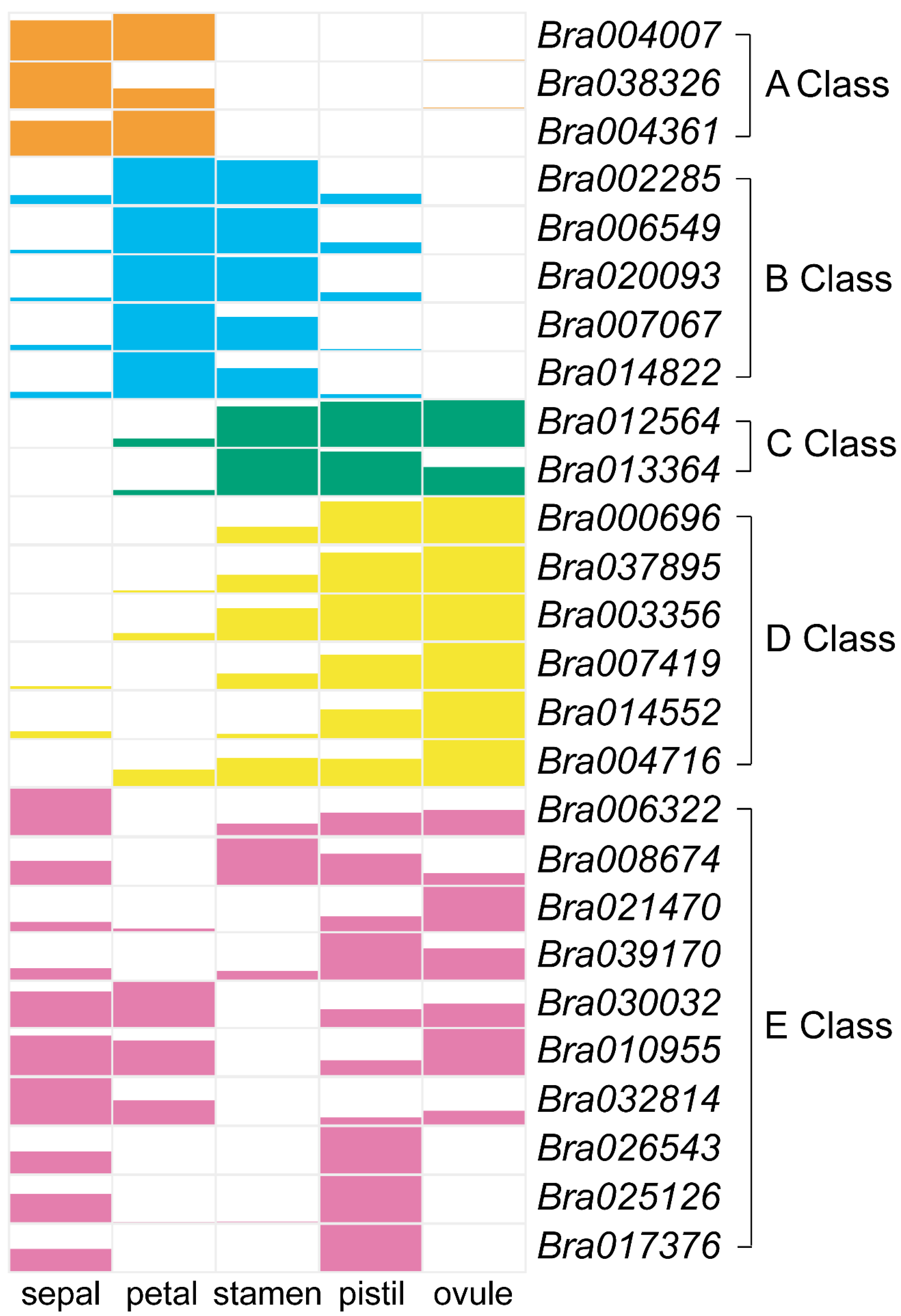 Plants 12 02218 g005