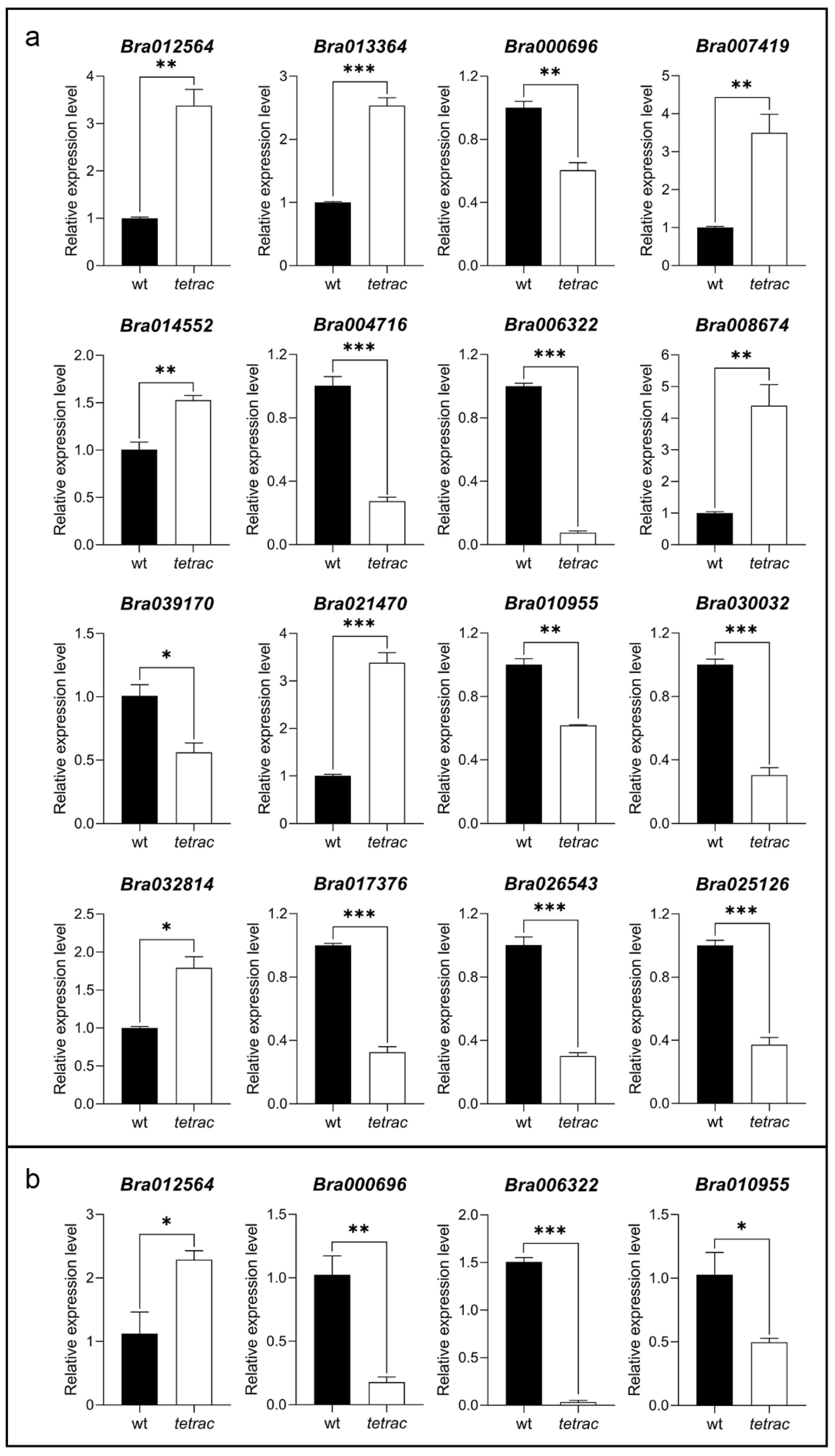 Plants 12 02218 g006