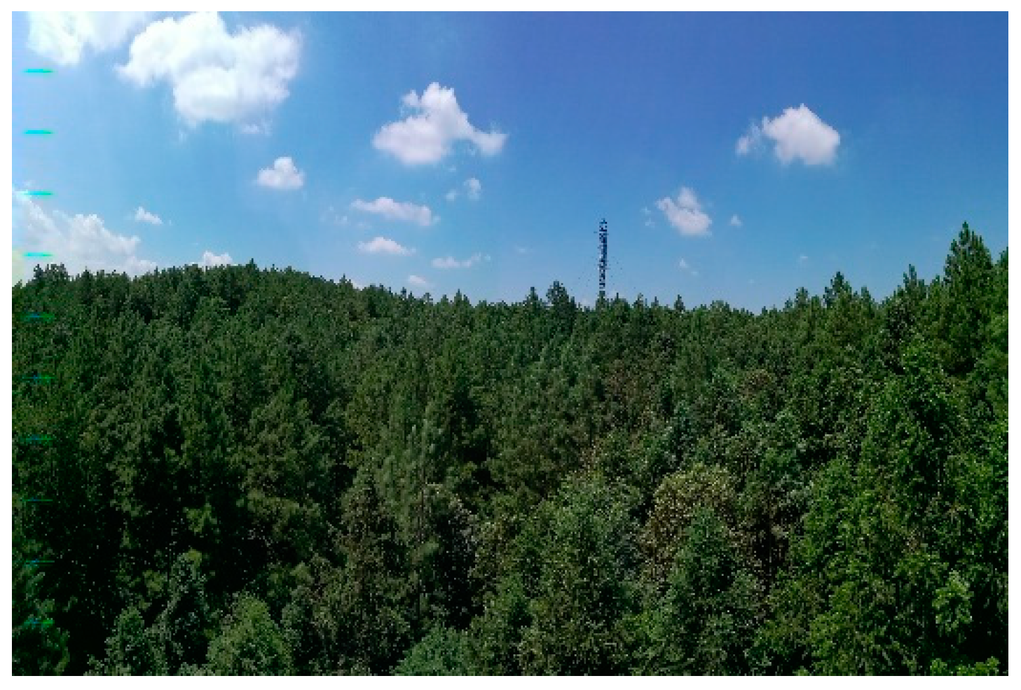 Plants 12 02224 g007 Plants 12 02224 g007