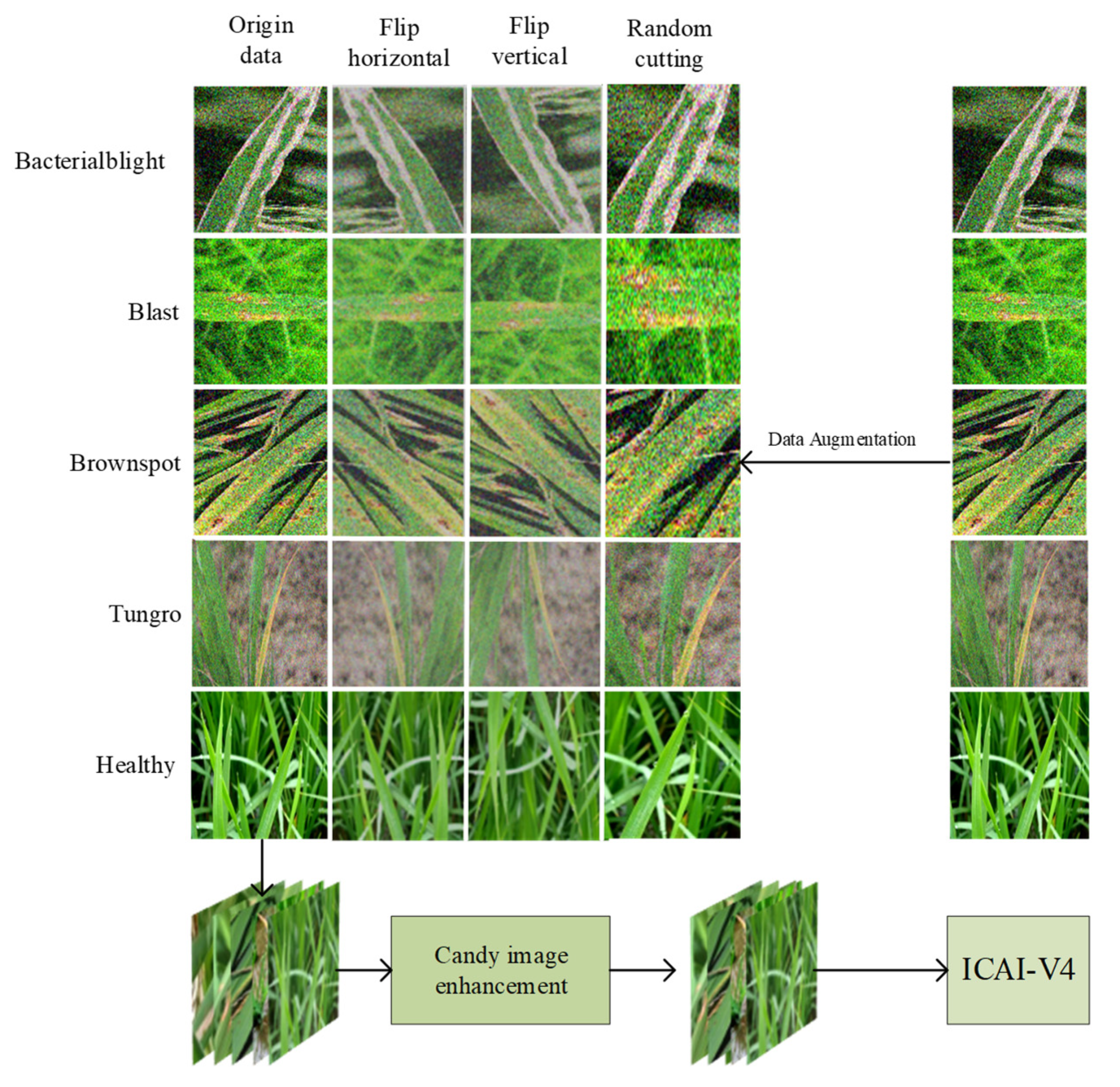 Plants 12 02225 g001