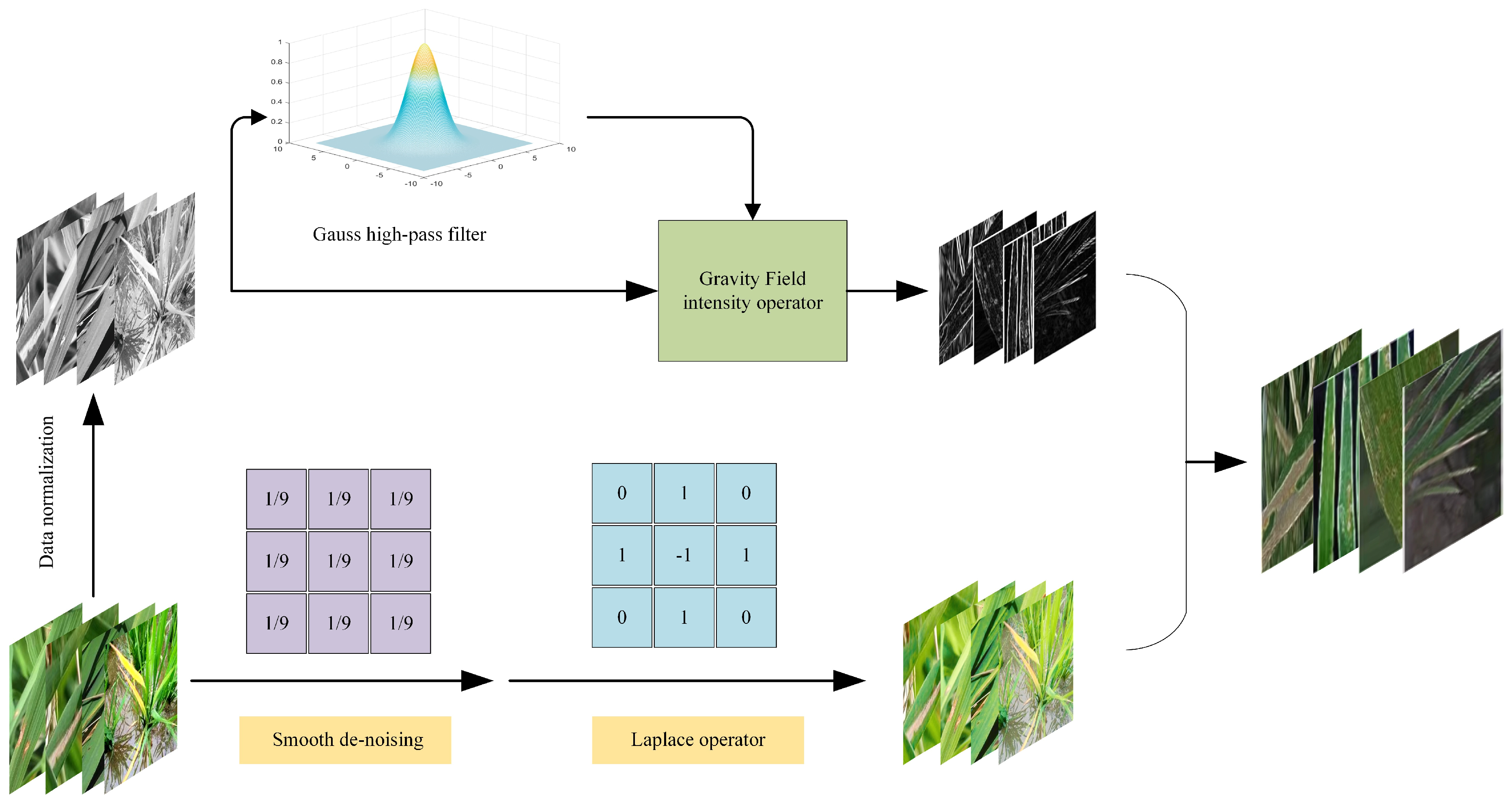 Plants 12 02225 g003