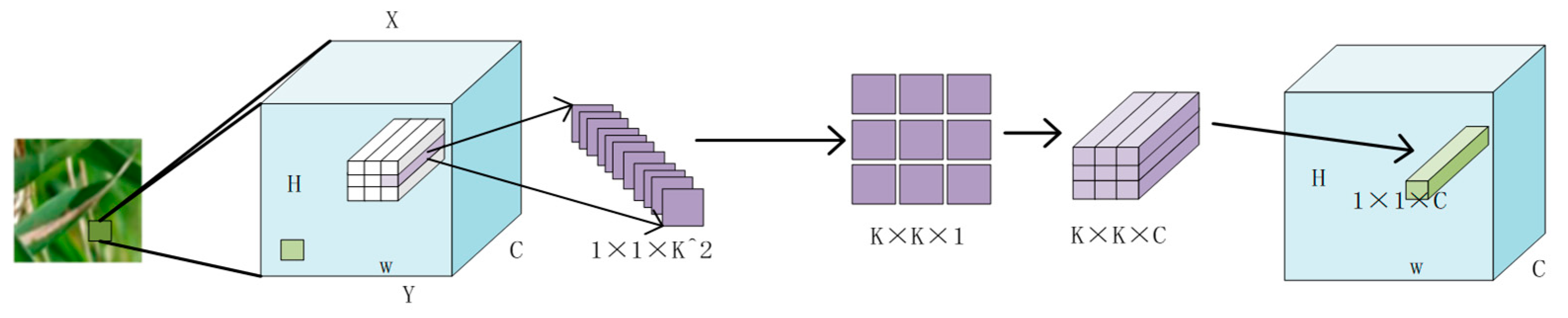 Plants 12 02225 g006