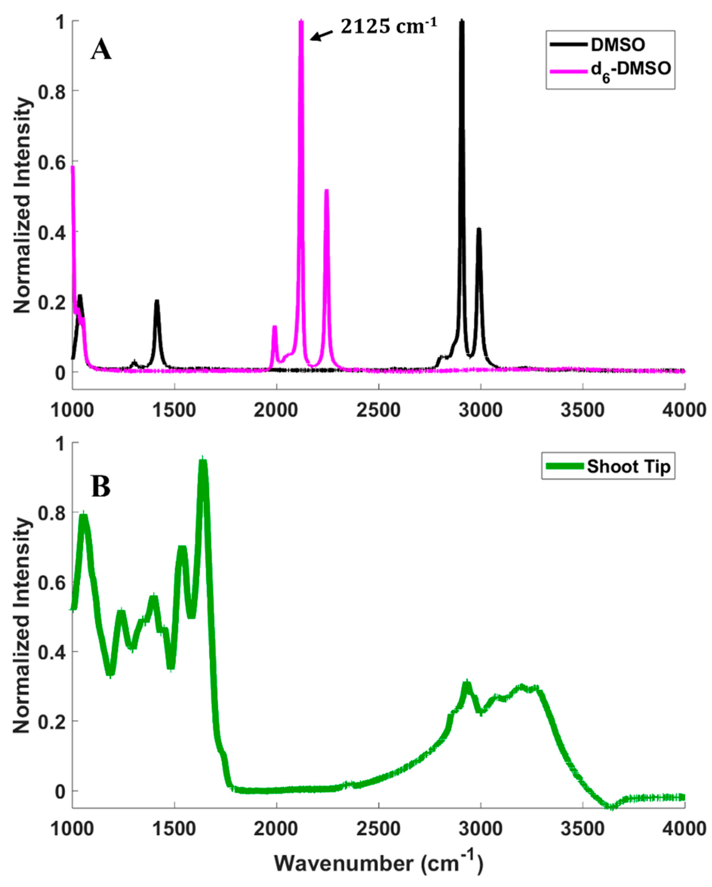 Plants 12 02247 g002