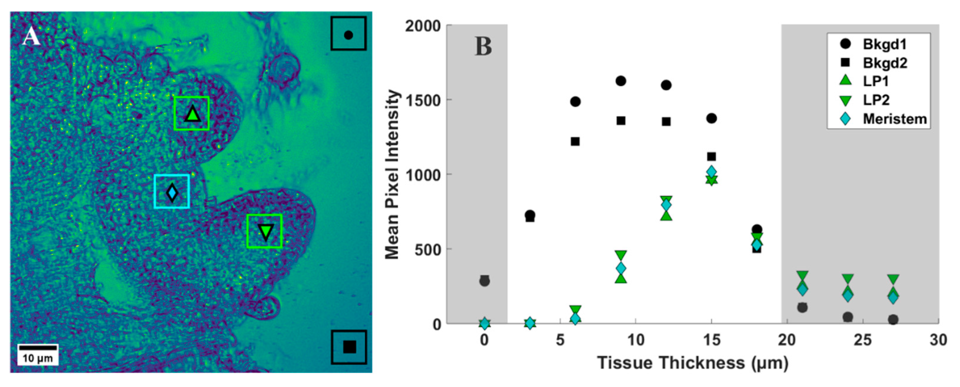 Plants 12 02247 g004