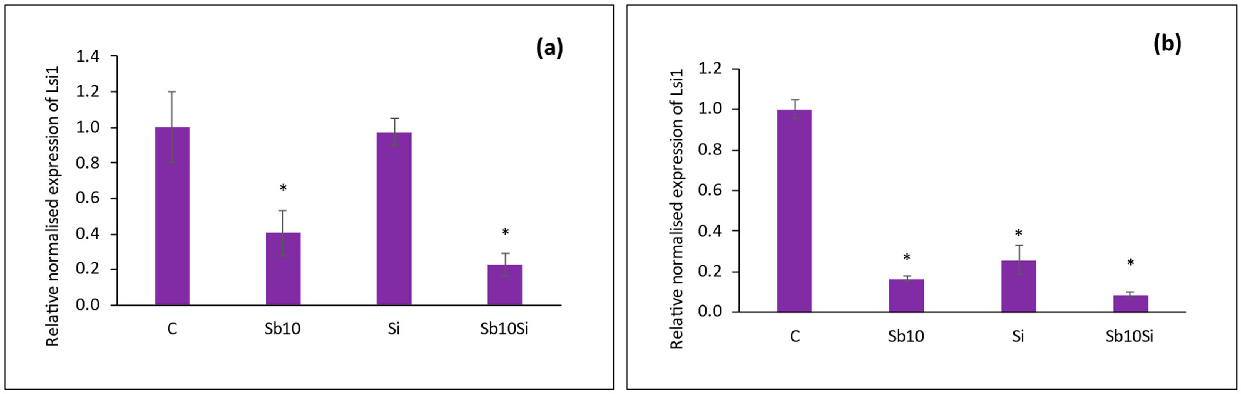 Plants 12 02368 g006