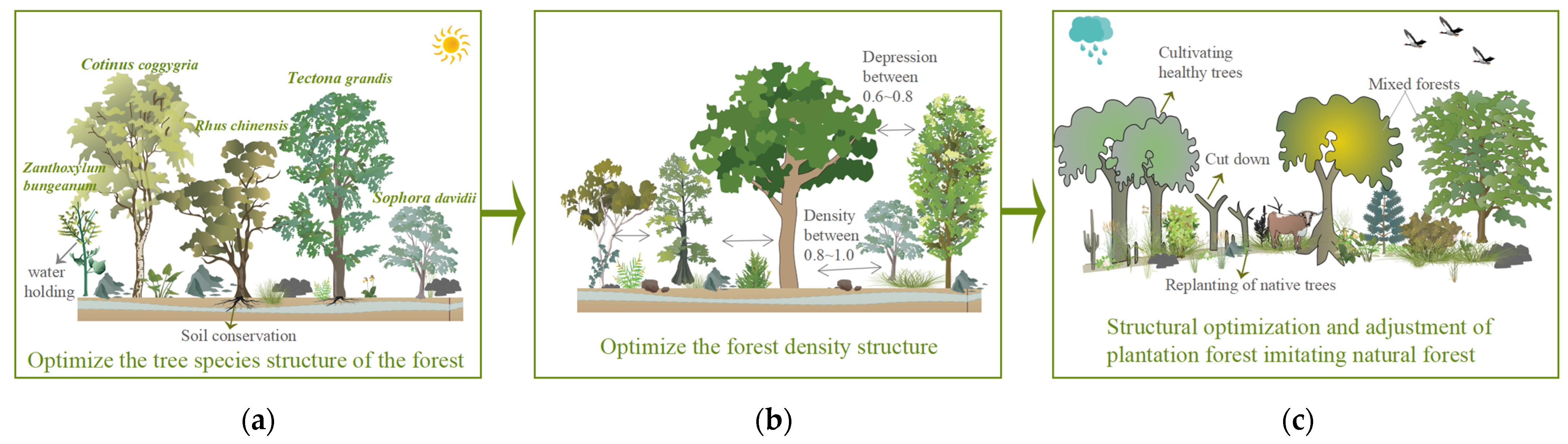 Plants 12 02376 g005