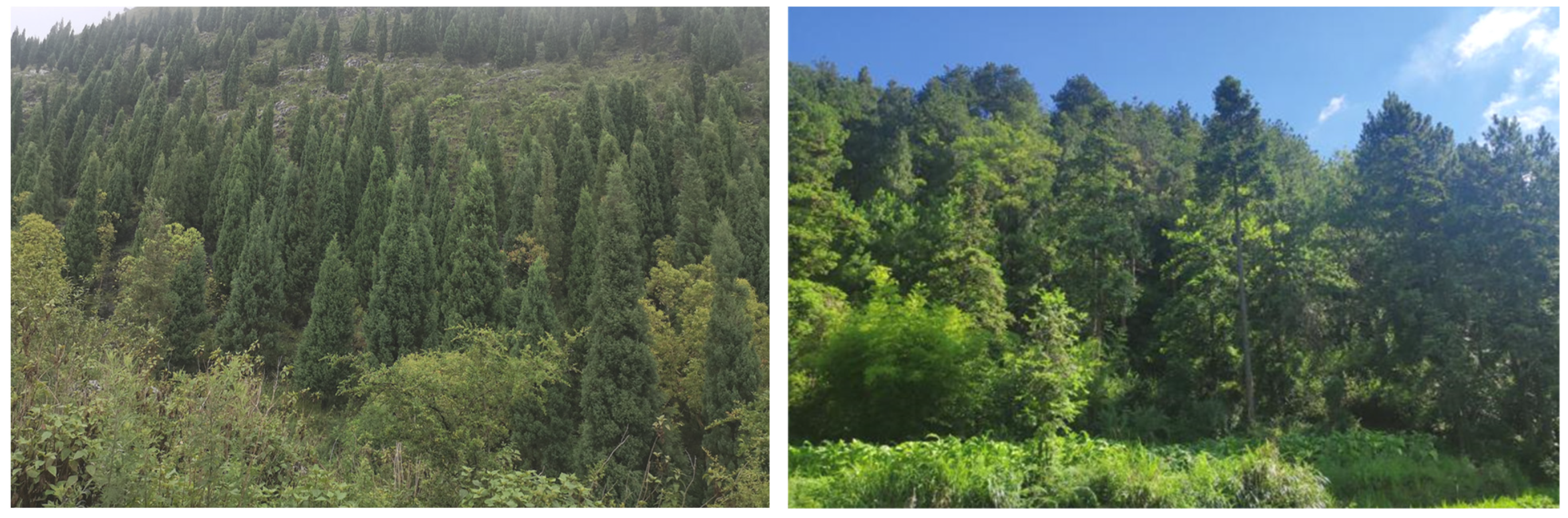 Plants 12 02376 g007