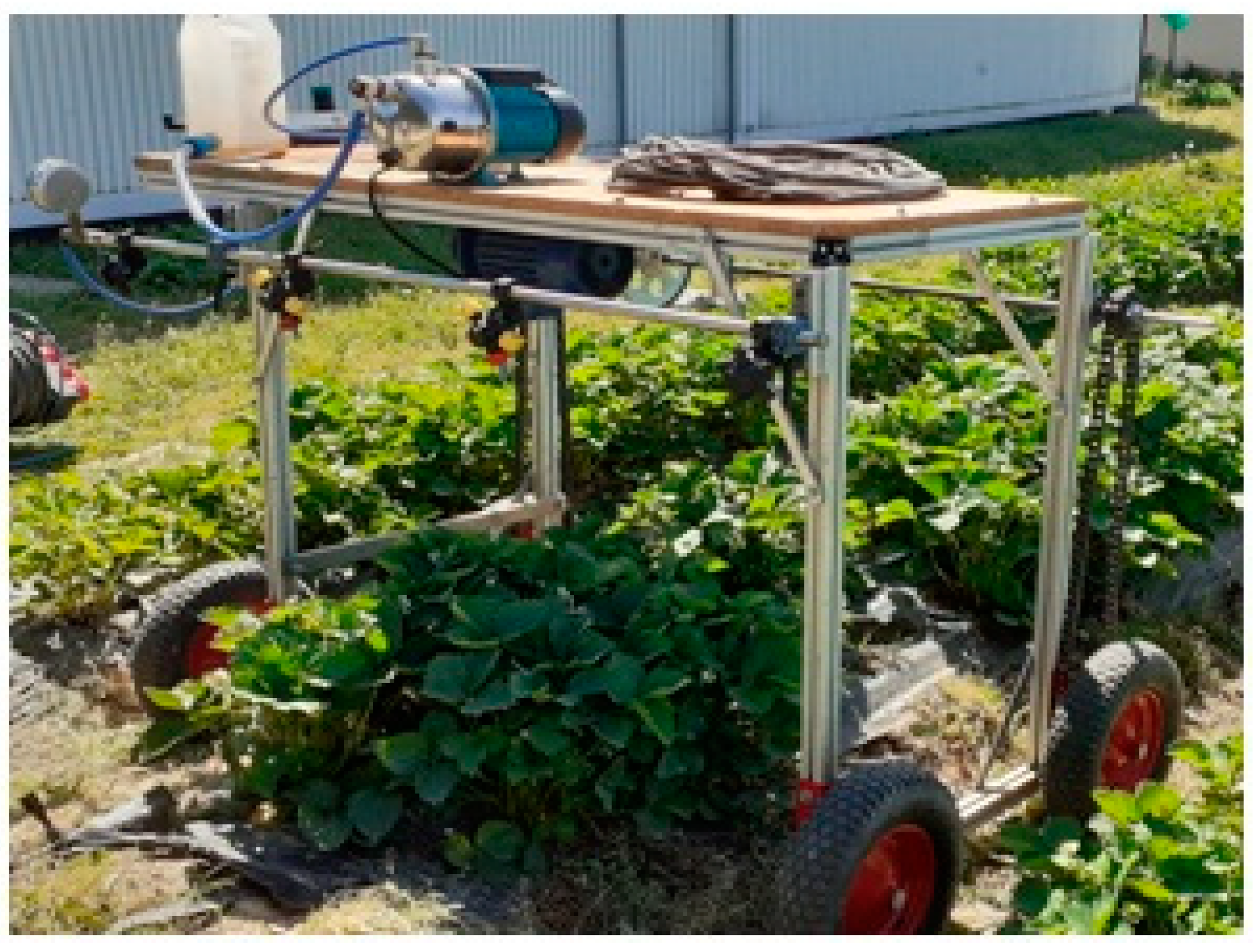 Plants 12 02390 g008