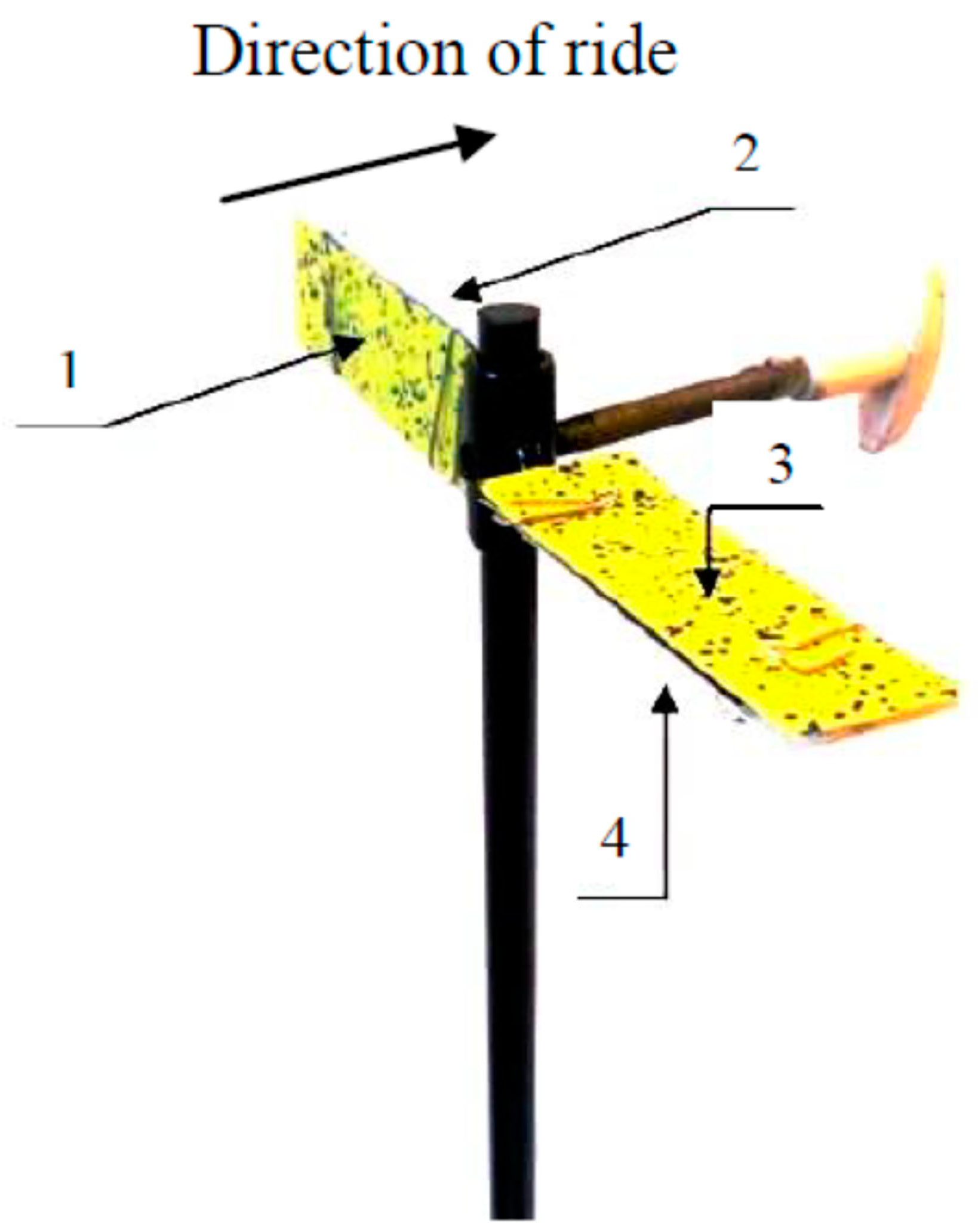 Plants 12 02390 g011