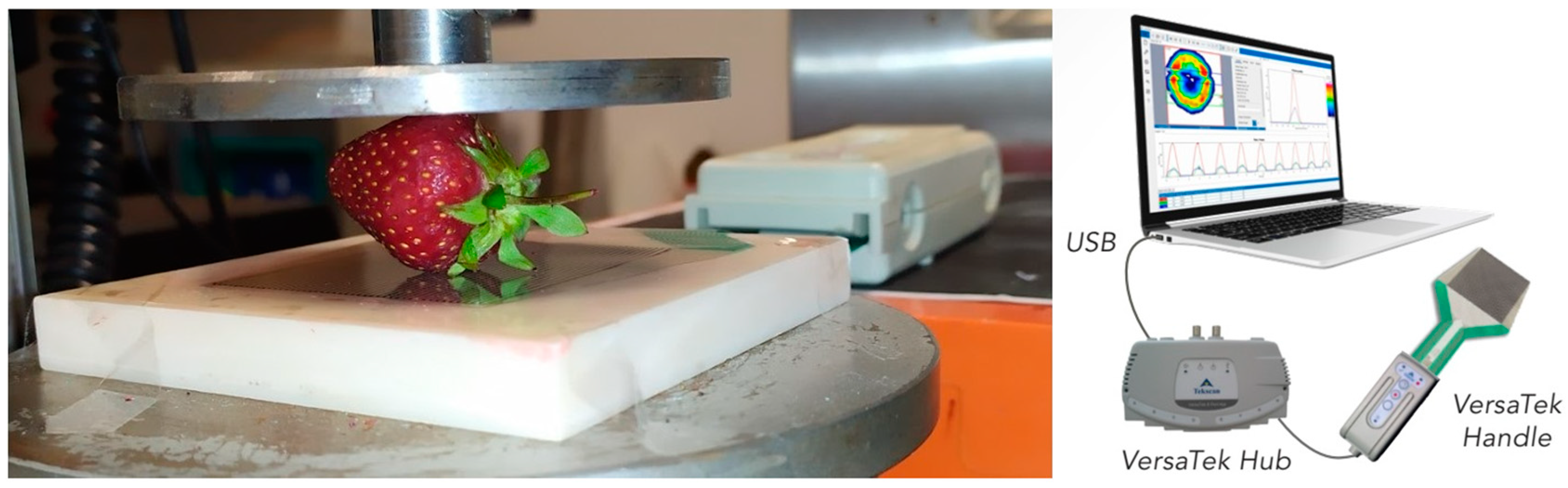 Plants 12 02390 g012