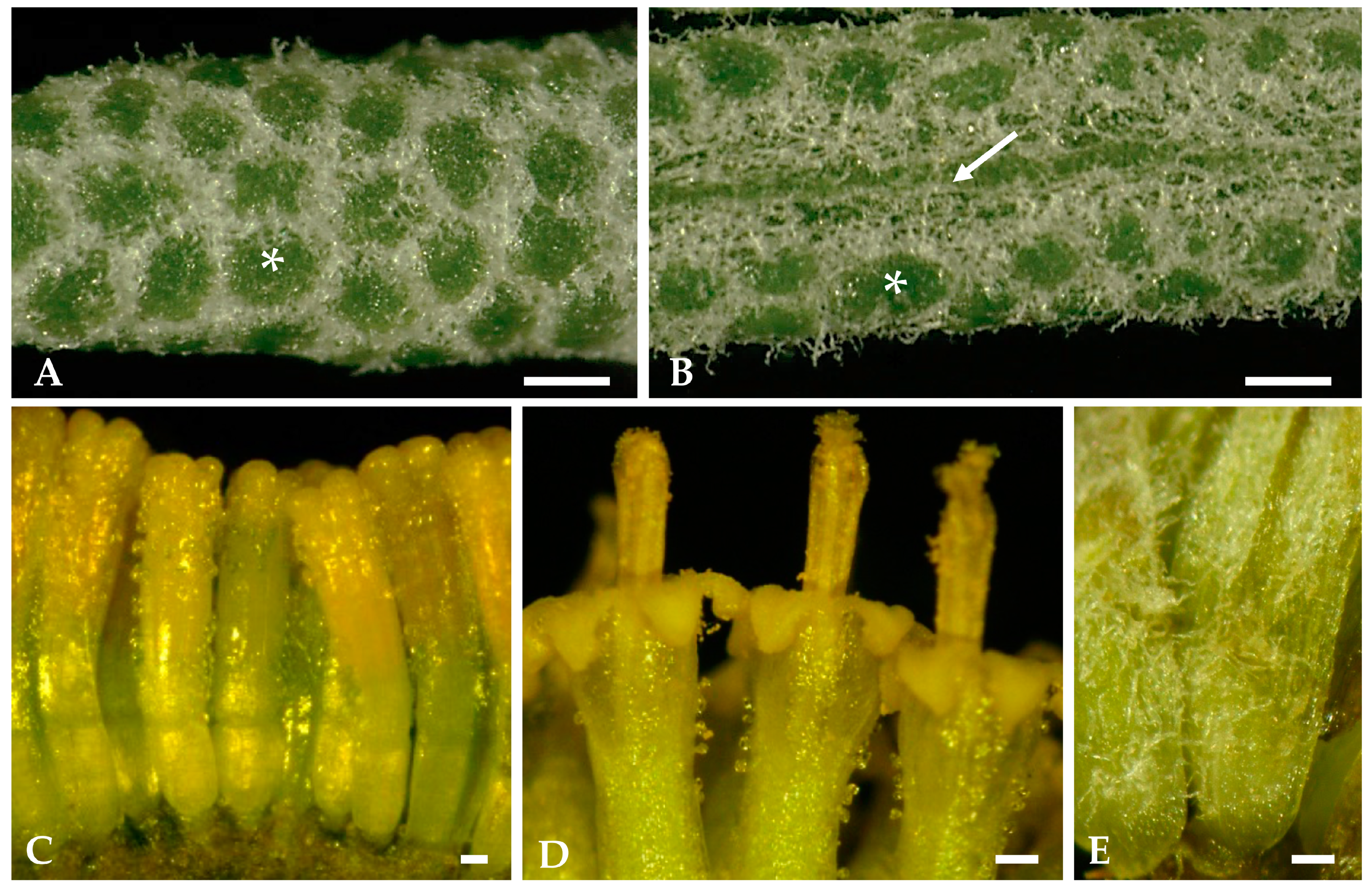 Plants 12 02391 g002