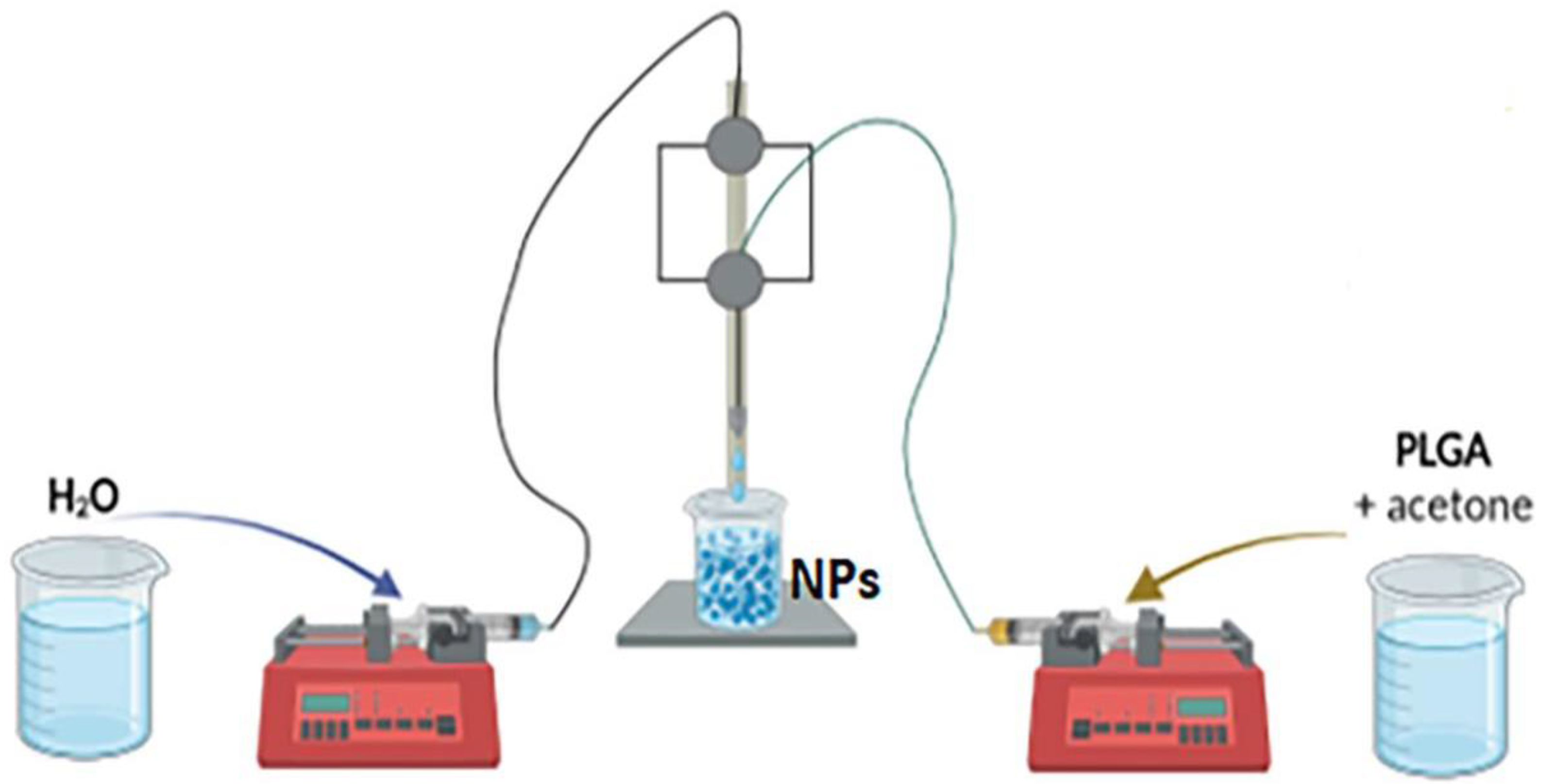 Plants 12 02397 g005