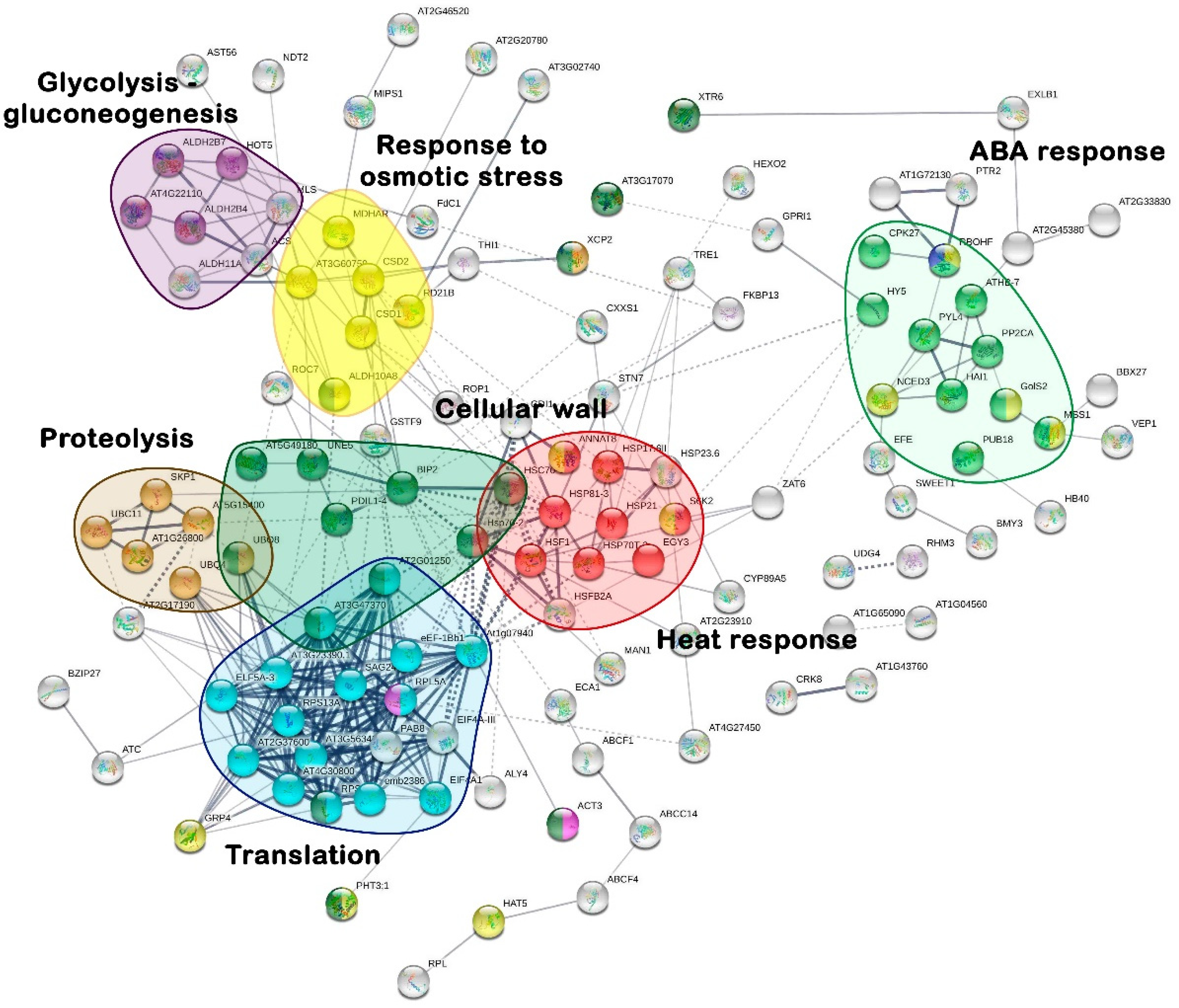 Plants 12 02404 g003
