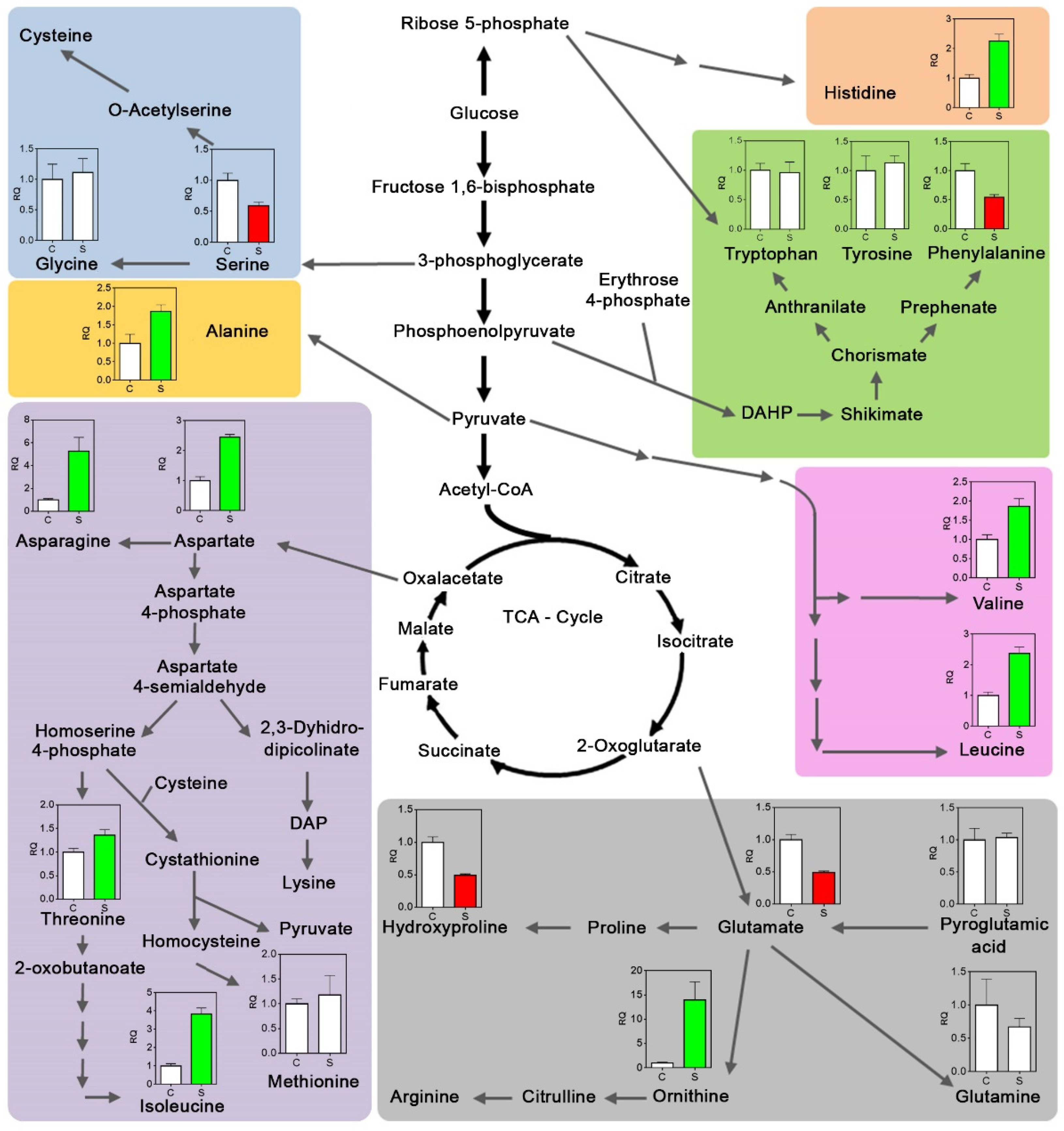 Plants 12 02404 g005