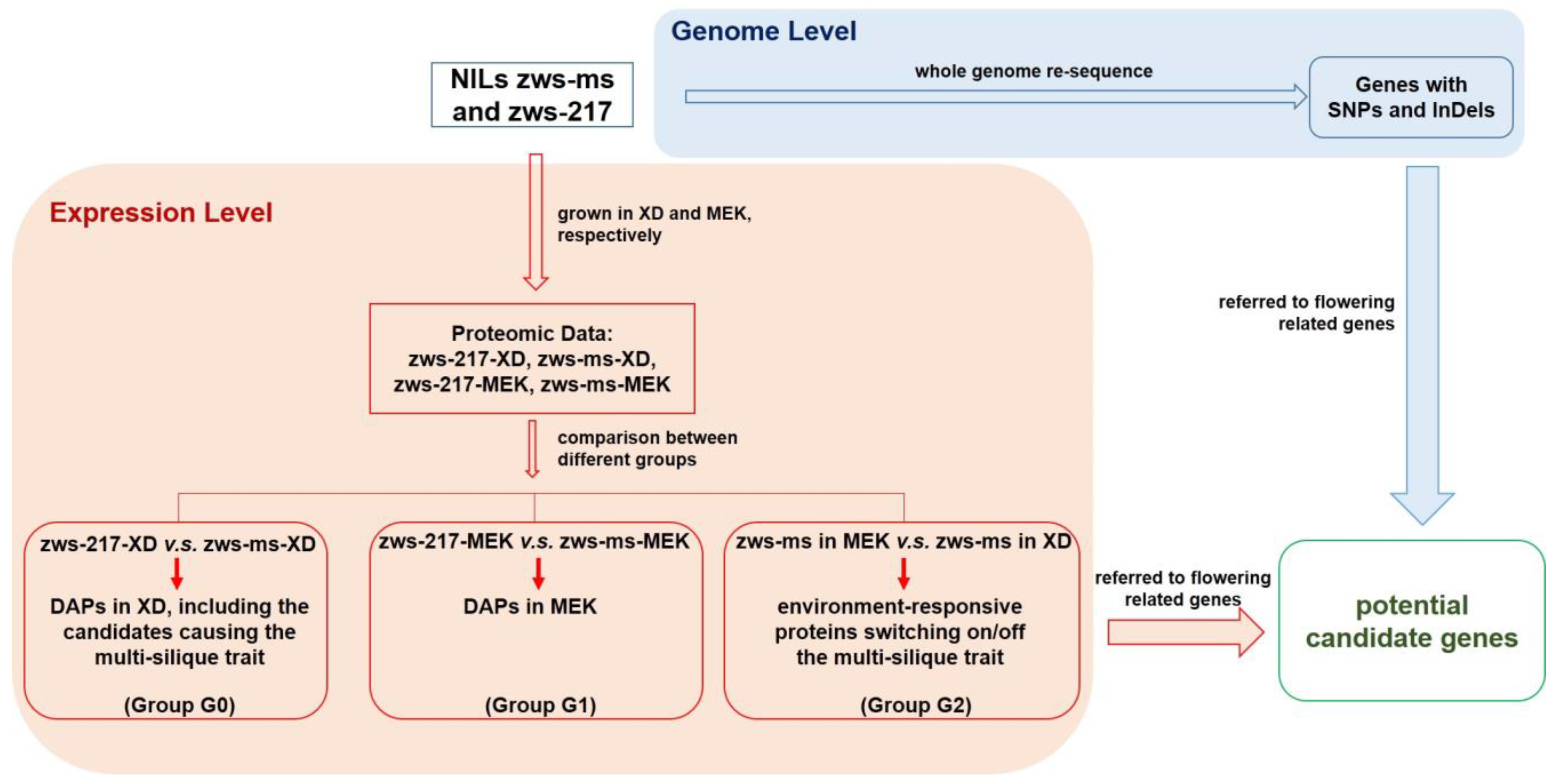 Plants 12 02429 g001