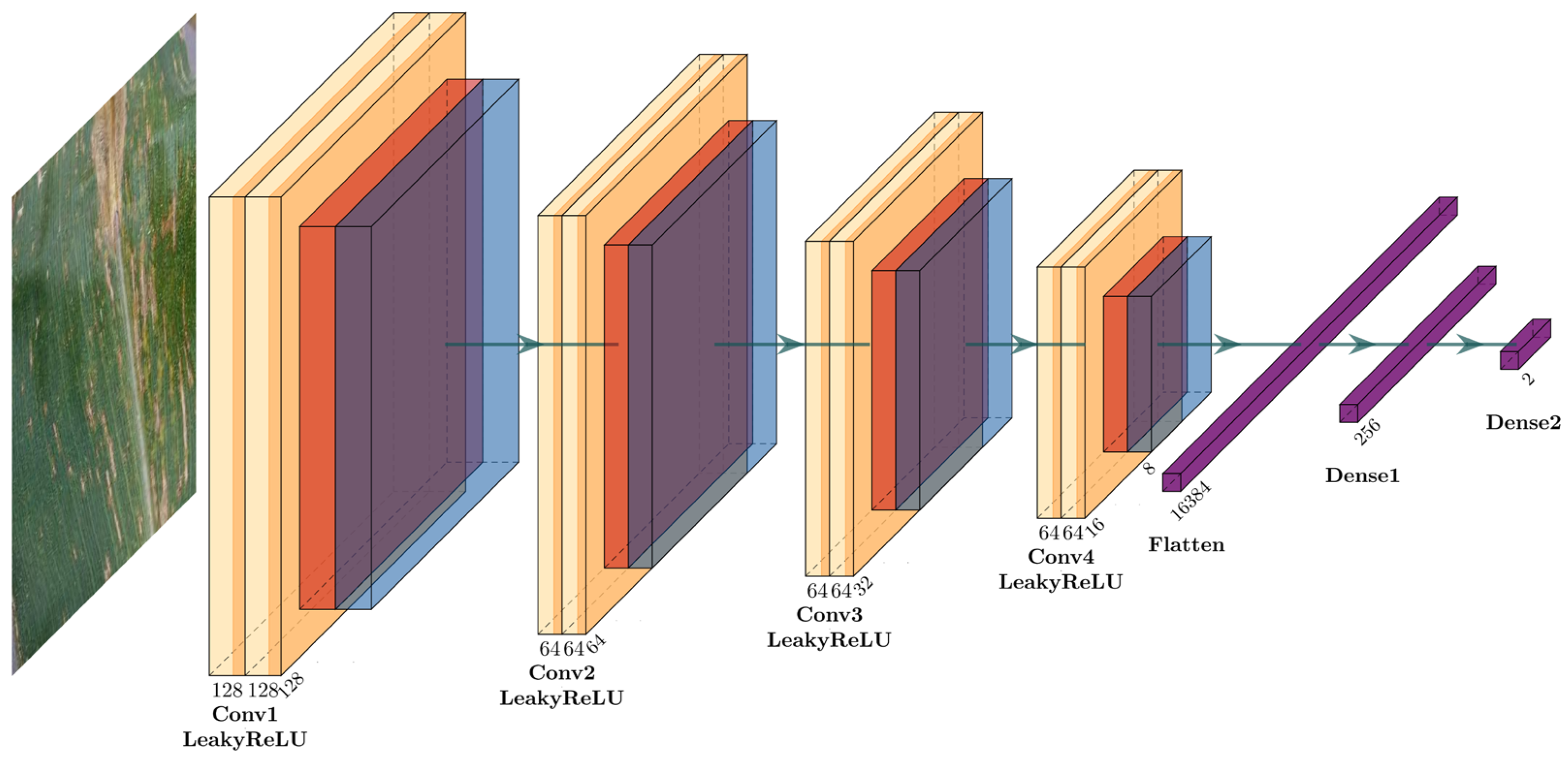 Plants 12 02433 g002 Plants 12 02433 g002