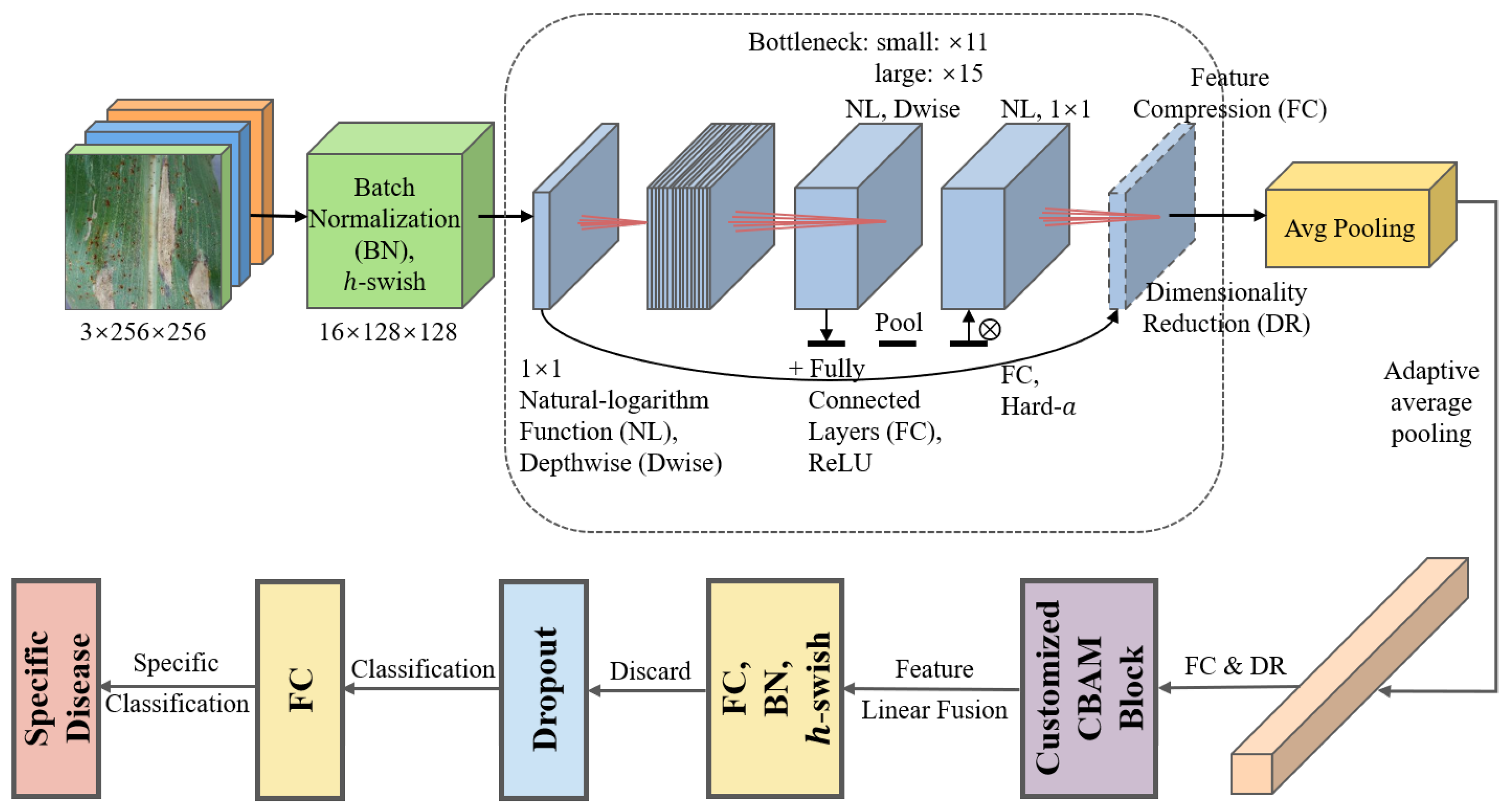 Plants 12 02433 g003 Plants 12 02433 g003