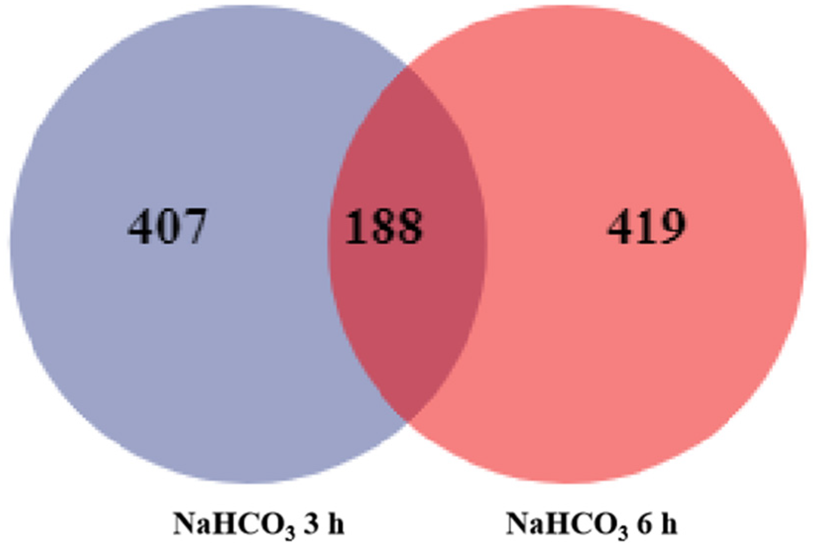 Plants 12 02435 g001