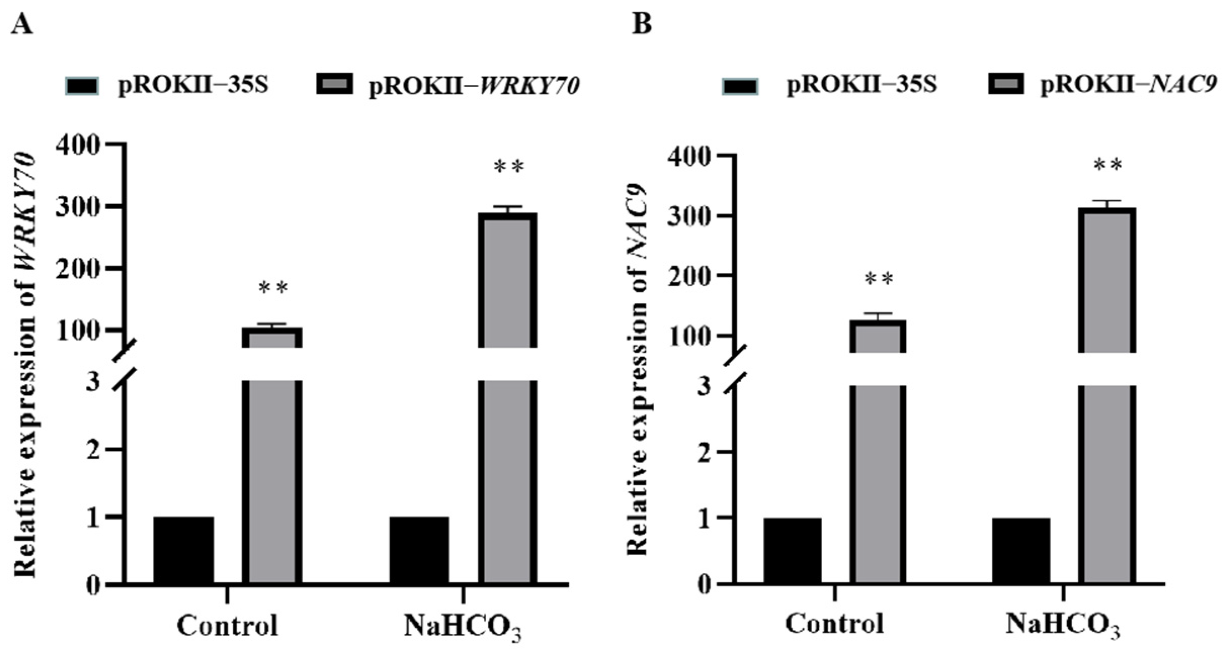 Plants 12 02435 g007