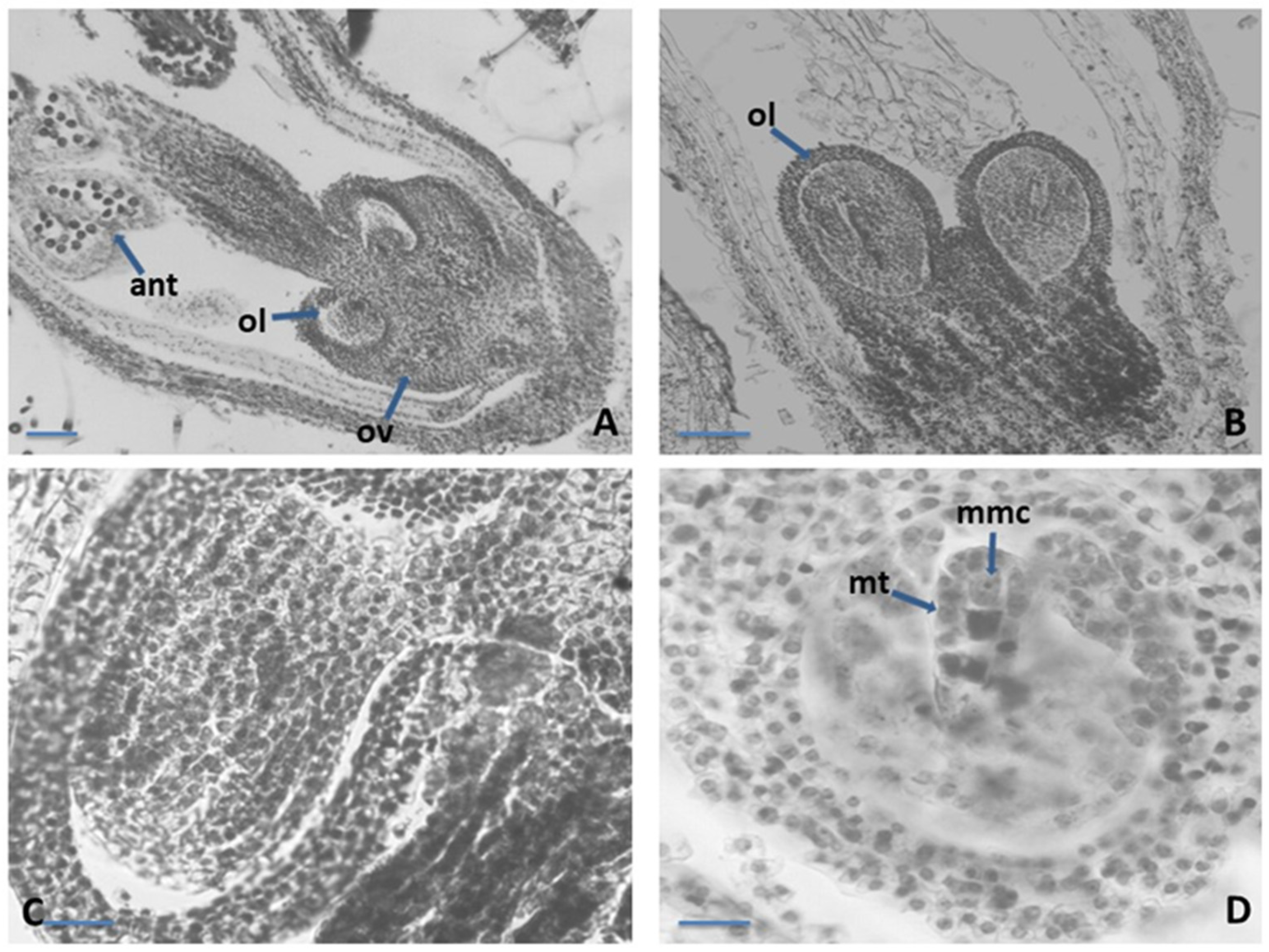 Plants 12 02436 g002