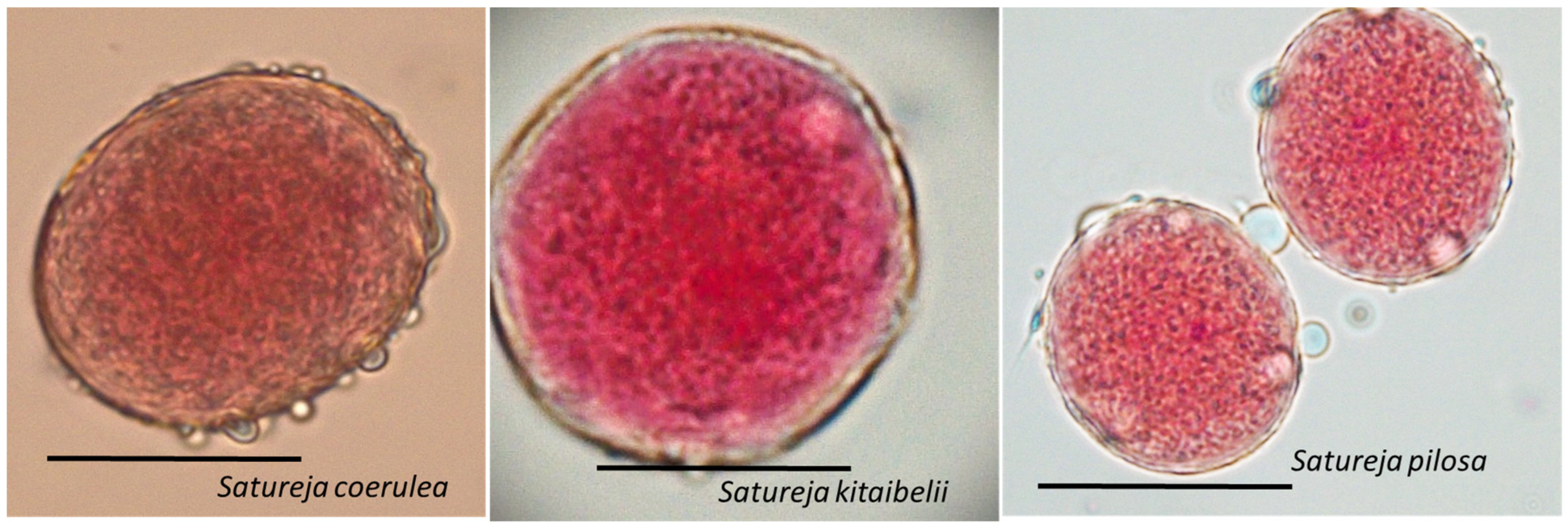 Plants 12 02436 g006