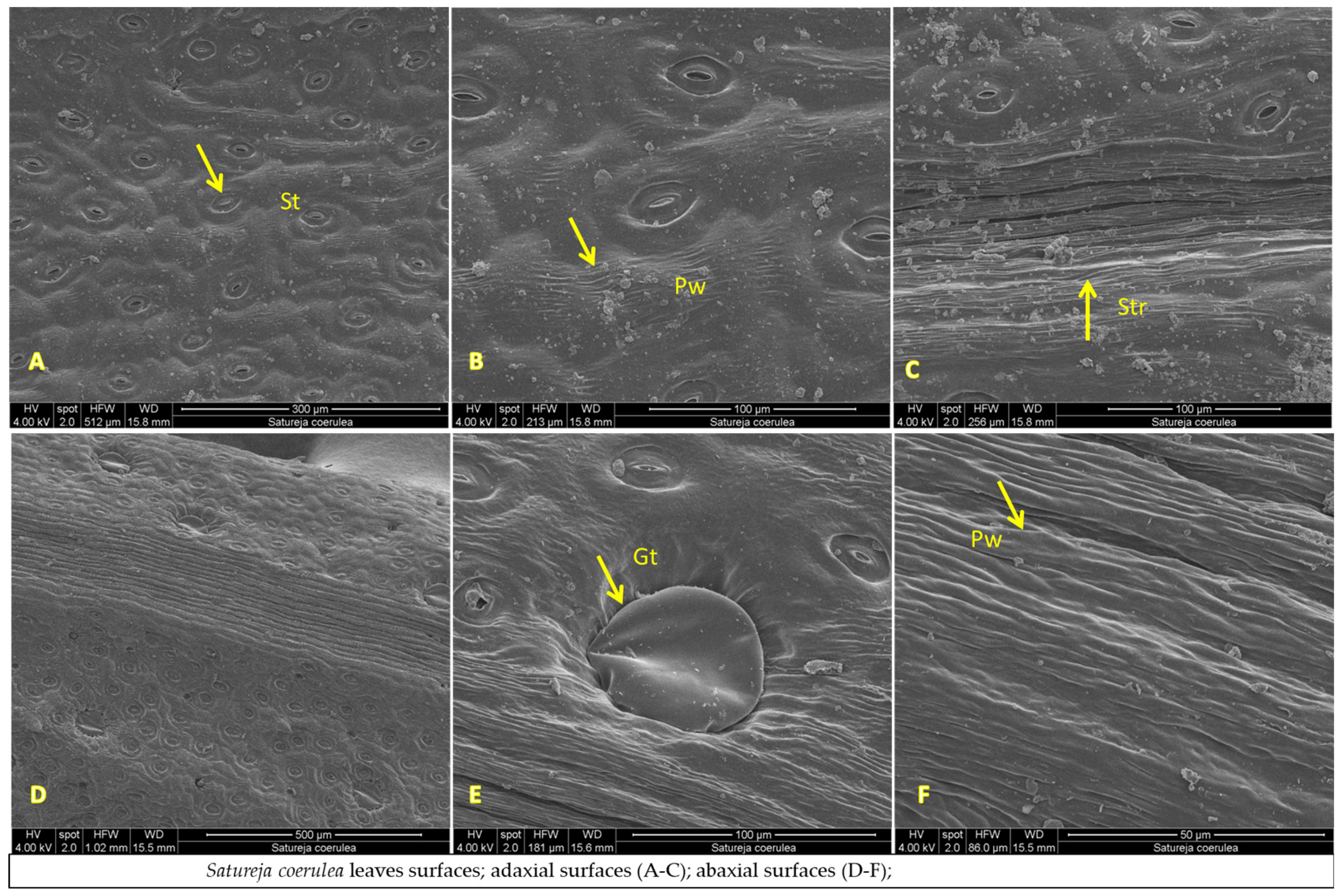 Plants 12 02436 g007a