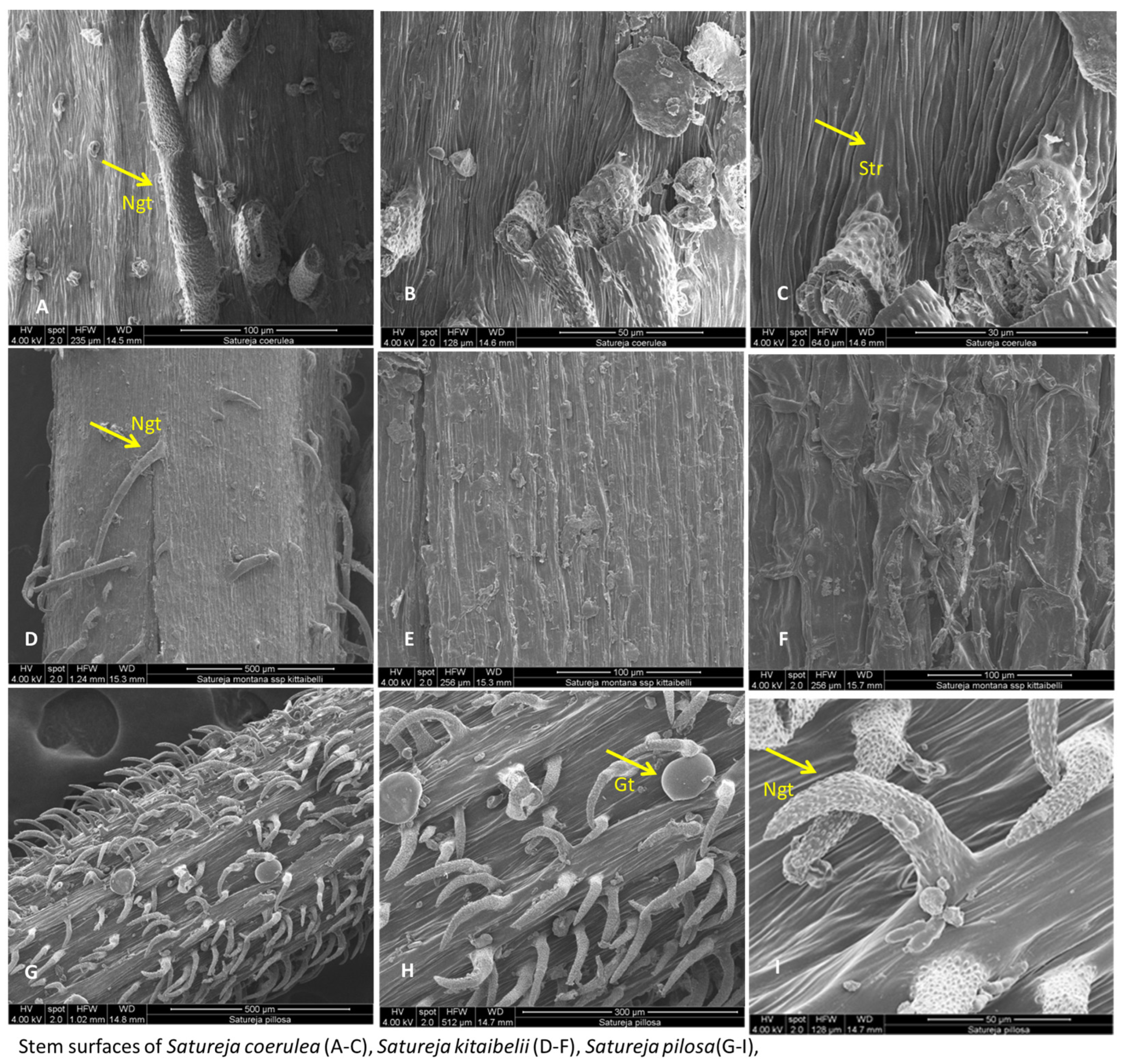 Plants 12 02436 g009